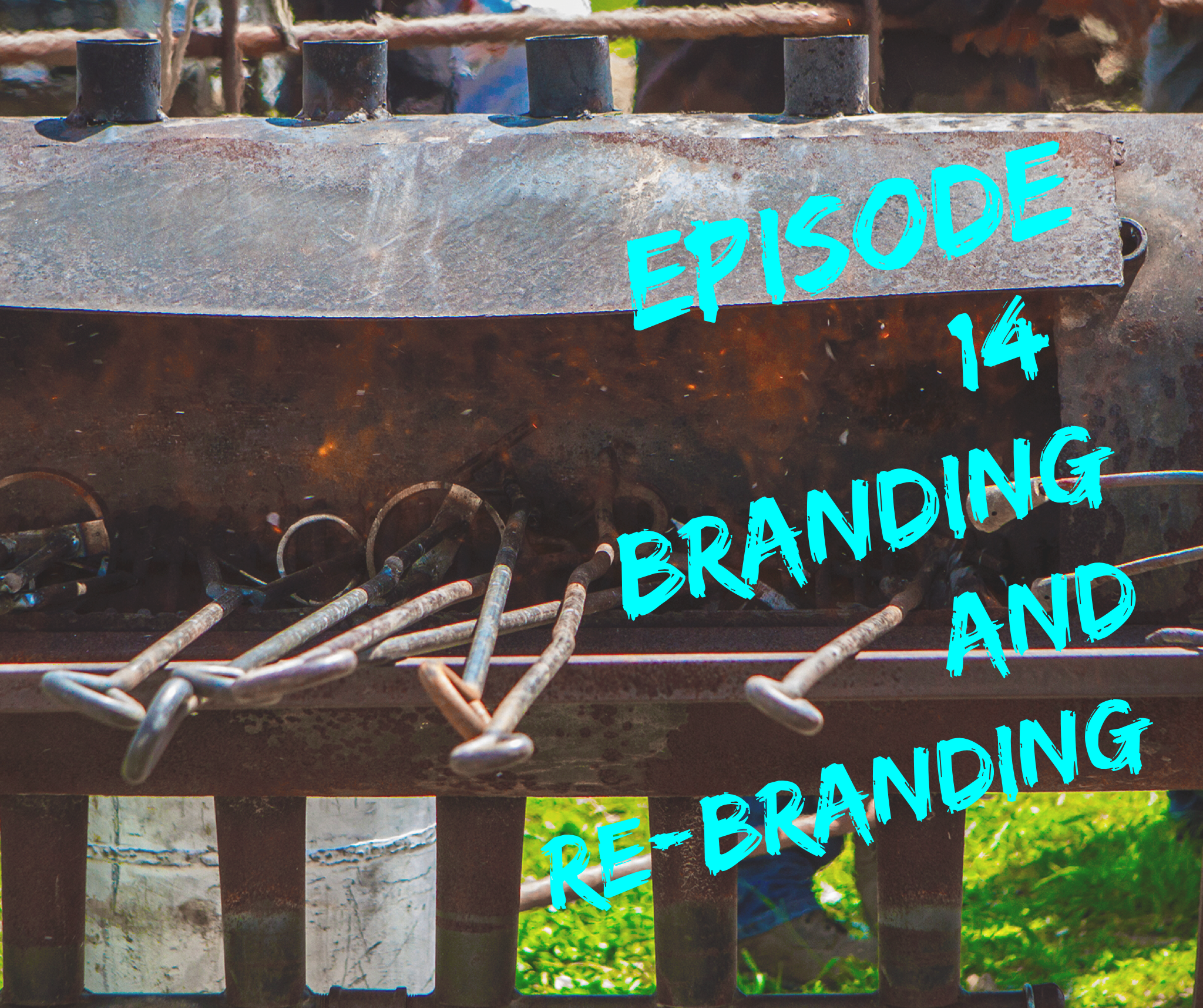 Episode 14: Branding and Re-Branding
