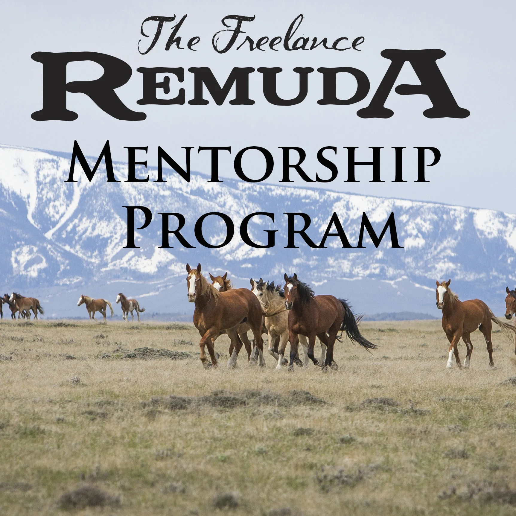 Introducing The Freelance Remuda Mentorship Program