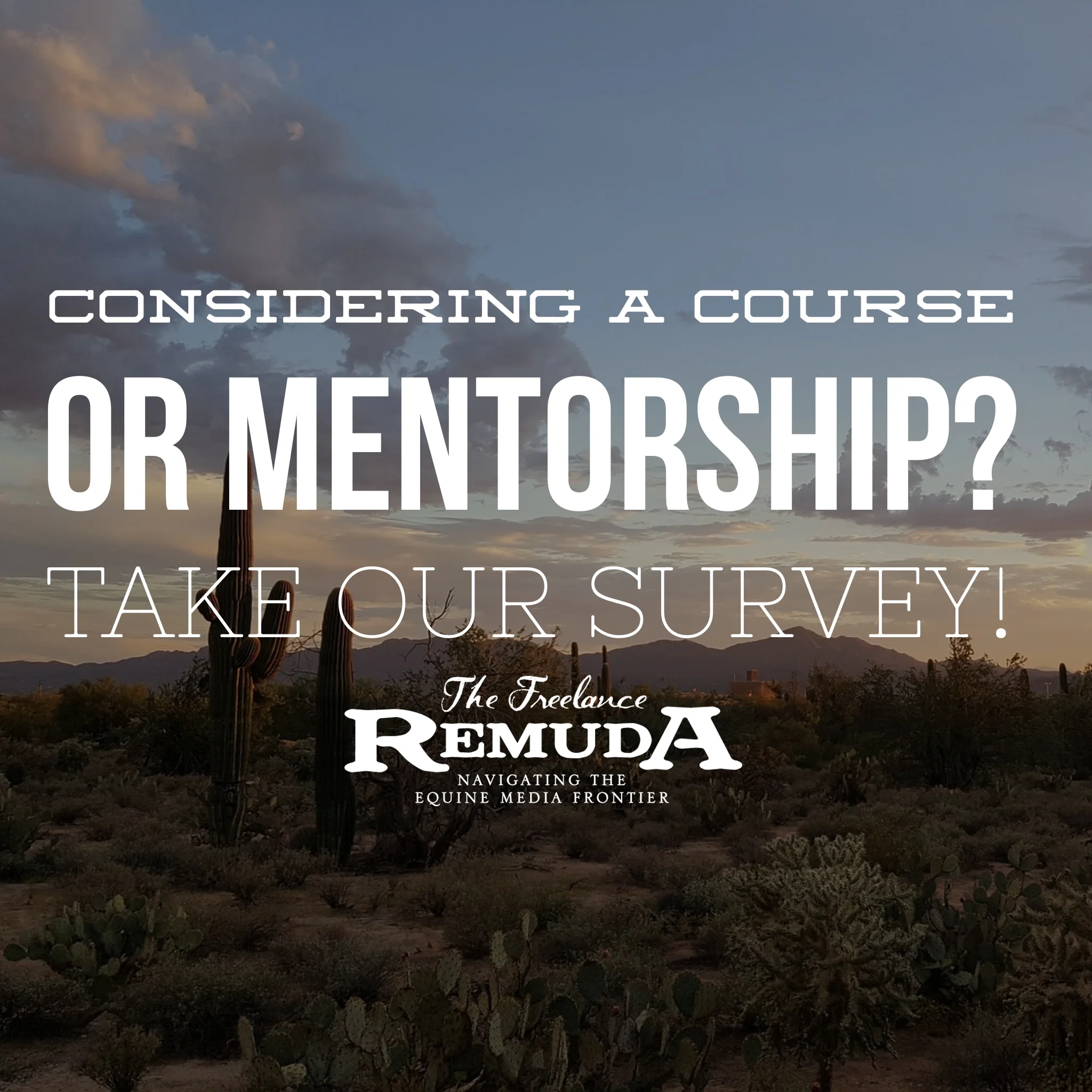 survey promo.jpg