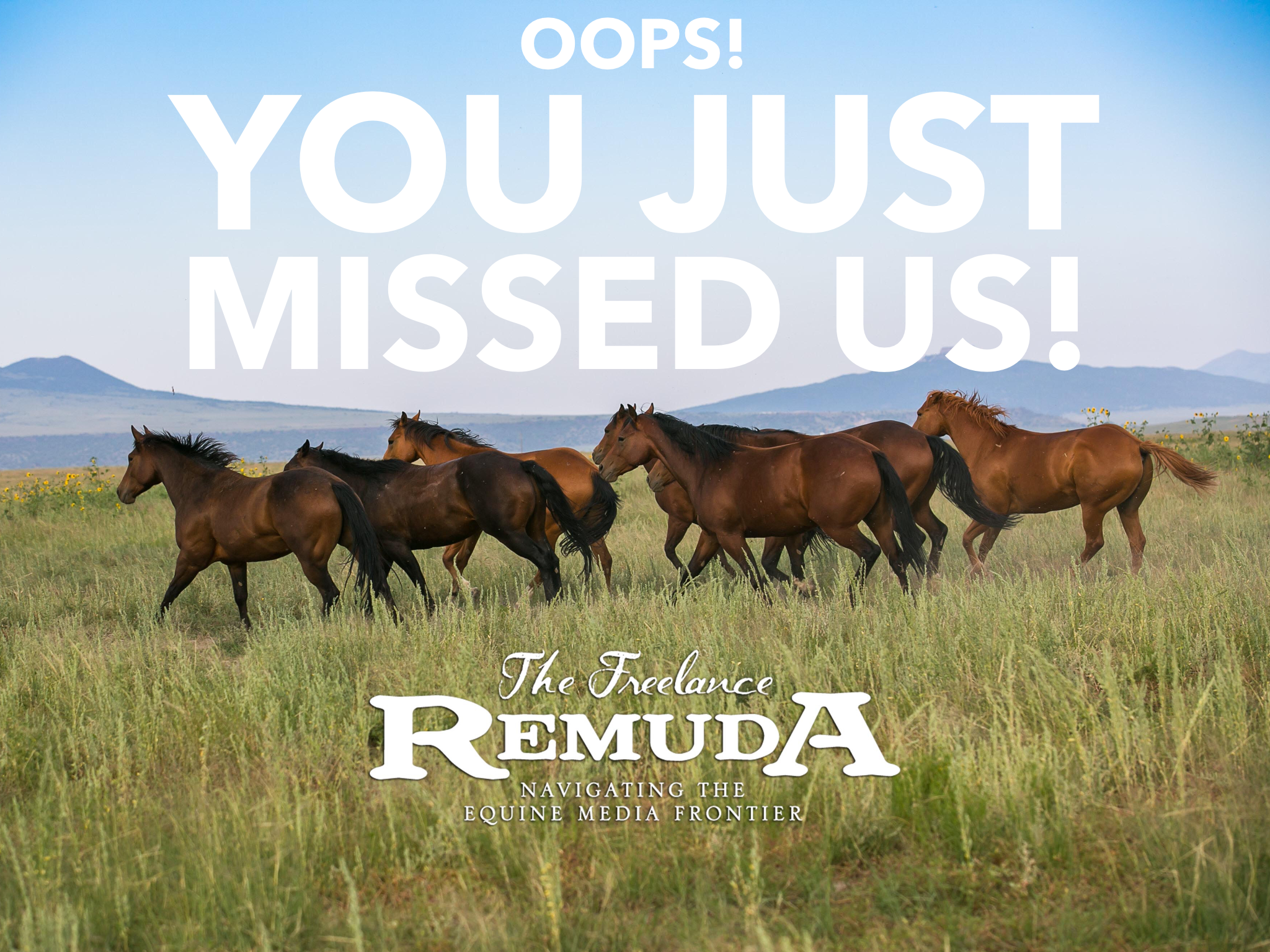 Freelance Remuda fills first offering of  Mentorship Program 