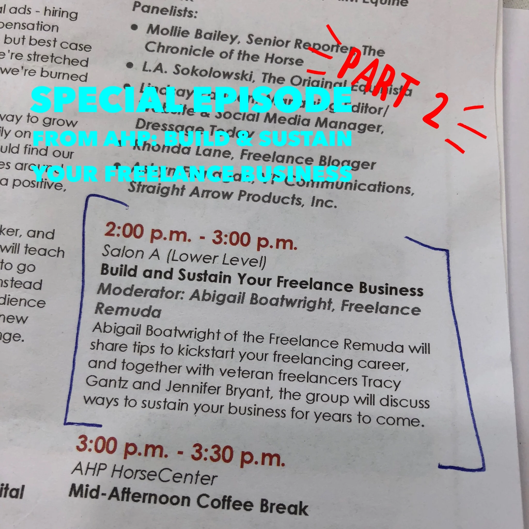 Special Episode Part 2: Build & Sustain Your Freelance Business (From AHP)