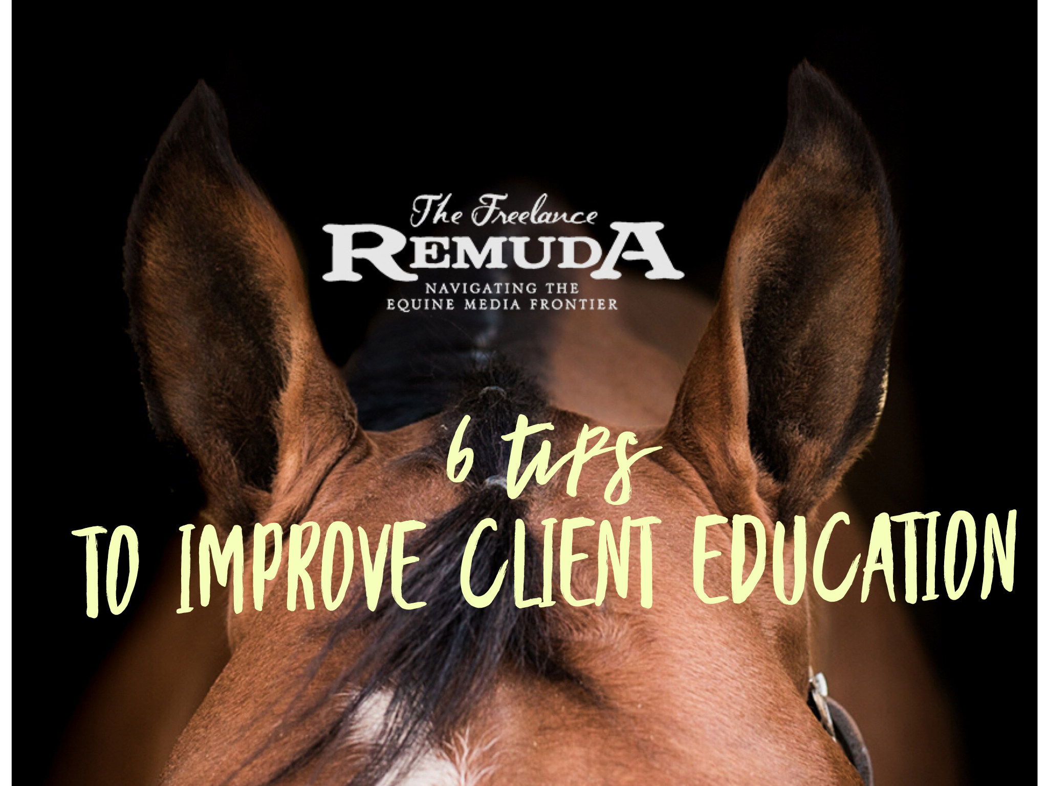 6 Tips to Improve Client Education: Guest Blog from Rachel Florman Creative