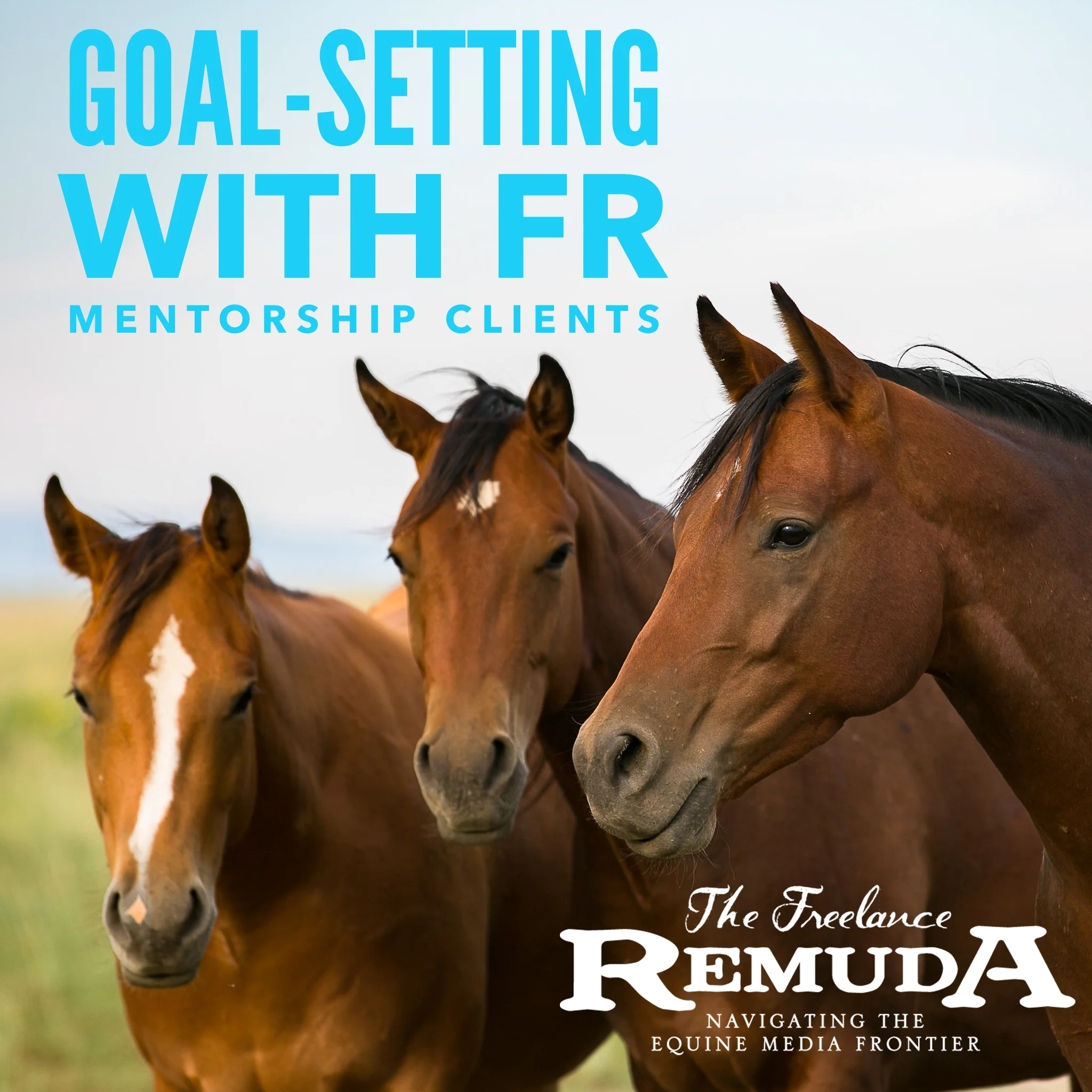 Goal-Setting with FR Mentorship Clients