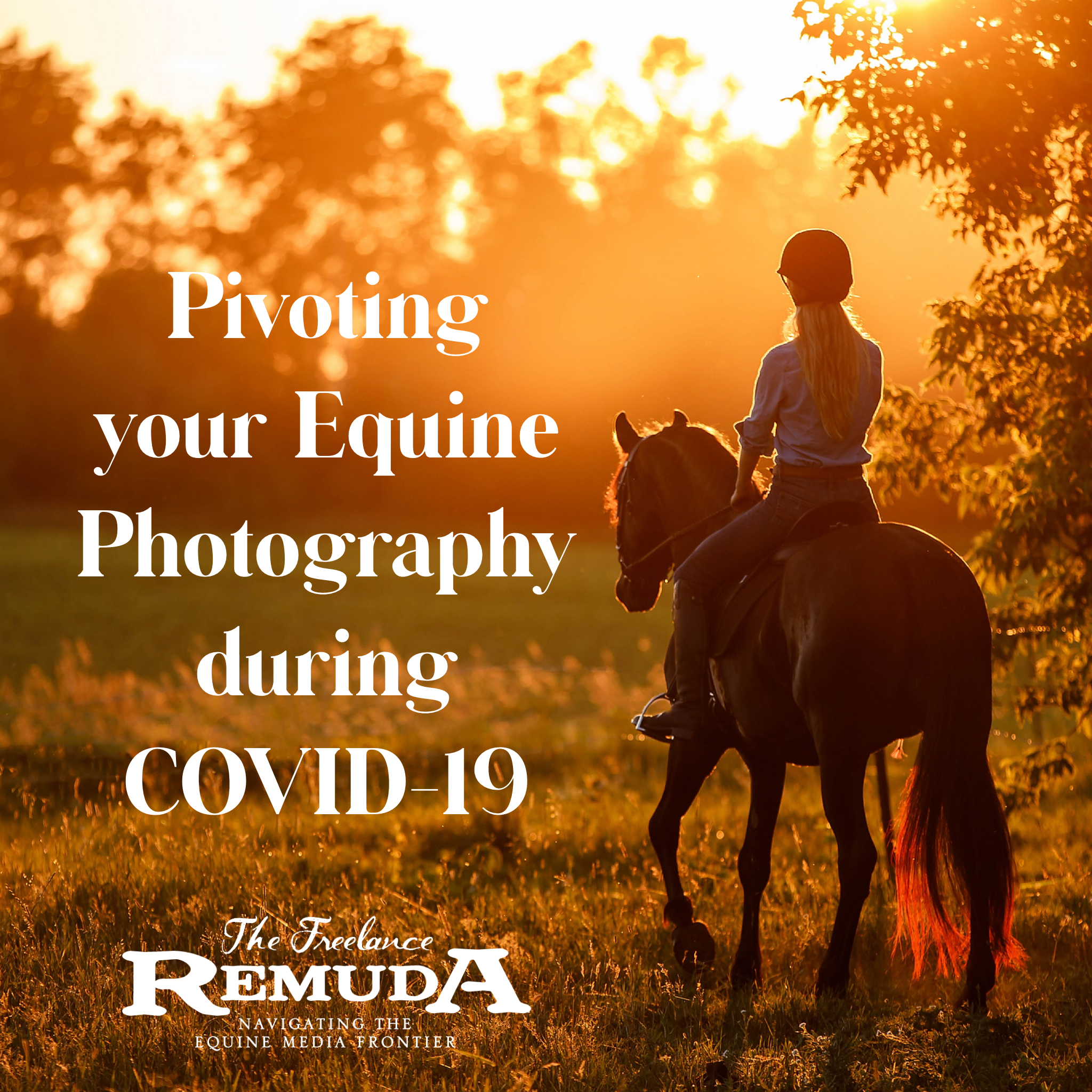 Pivoting your Equine Photography during COVID-19