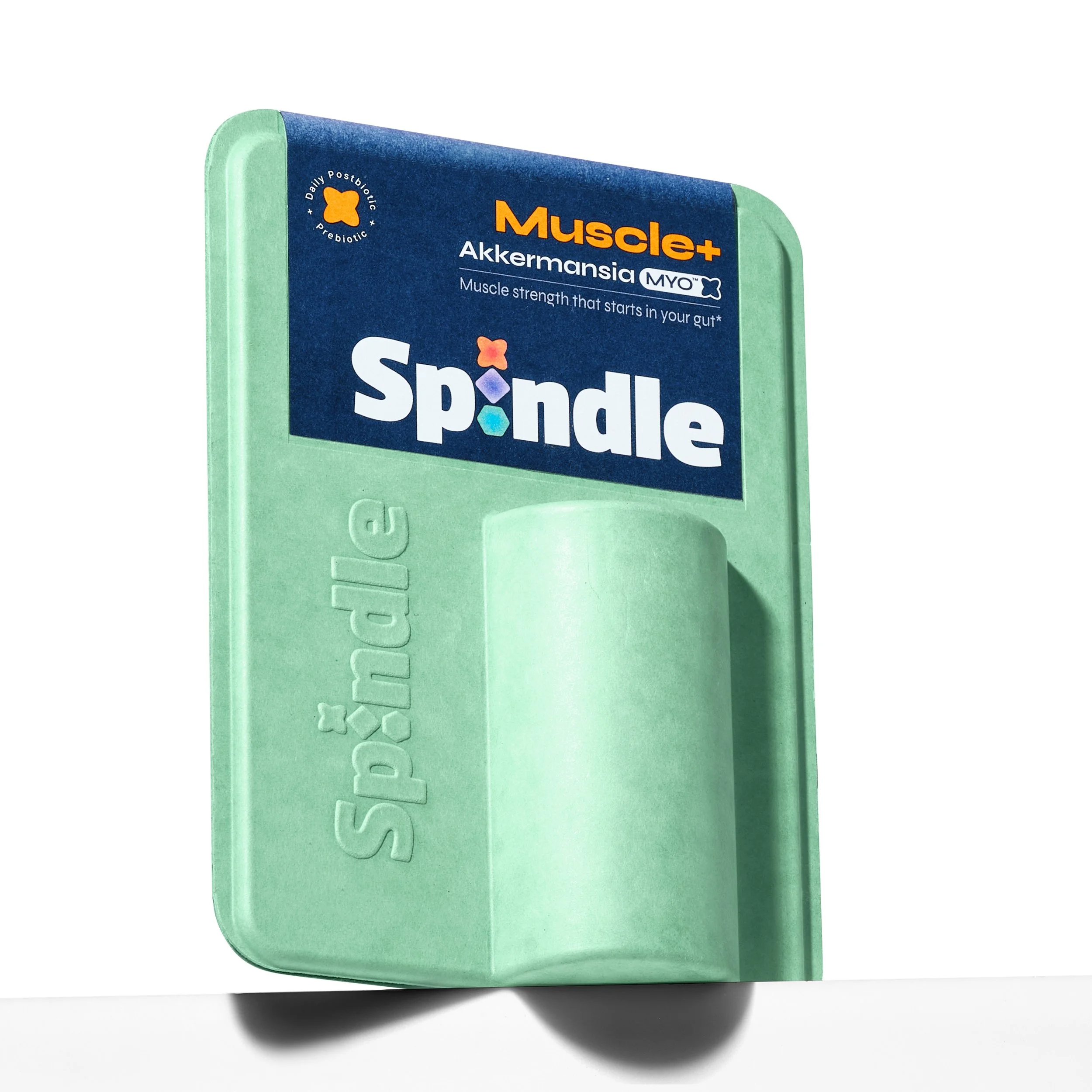 32026-spindle-supplemnts-jmm.jpg
