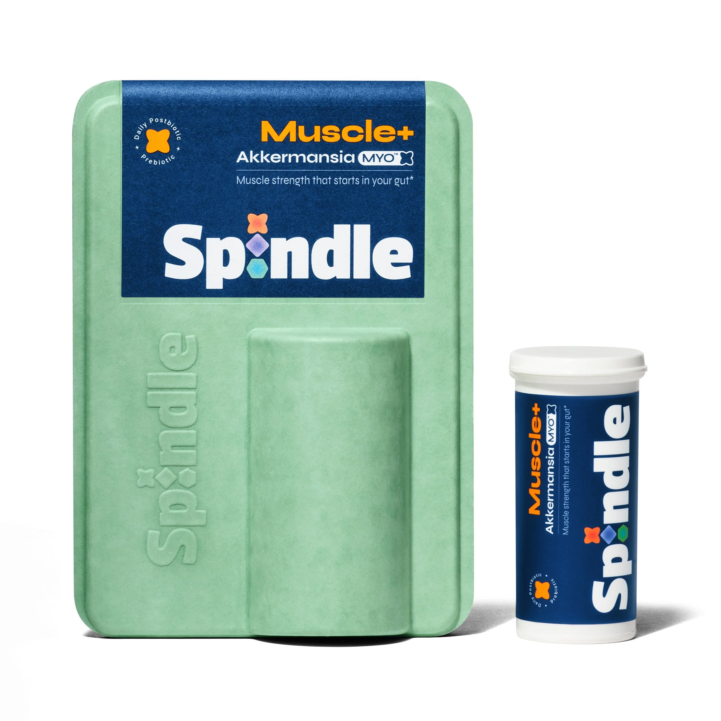 42026-spindle-supplemnts-jmm.jpg