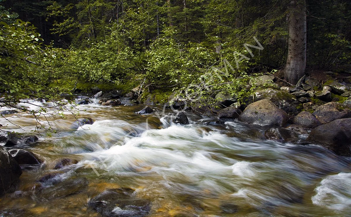 San Migual River 21x34.jpg