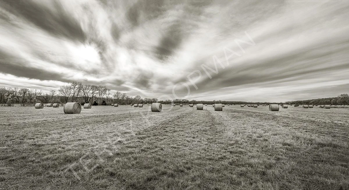 Hay Bales 1 BW.jpg