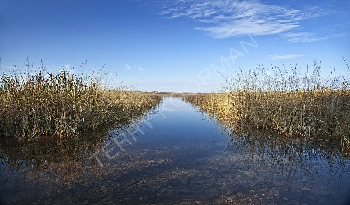 Sandhills01 Print.jpg