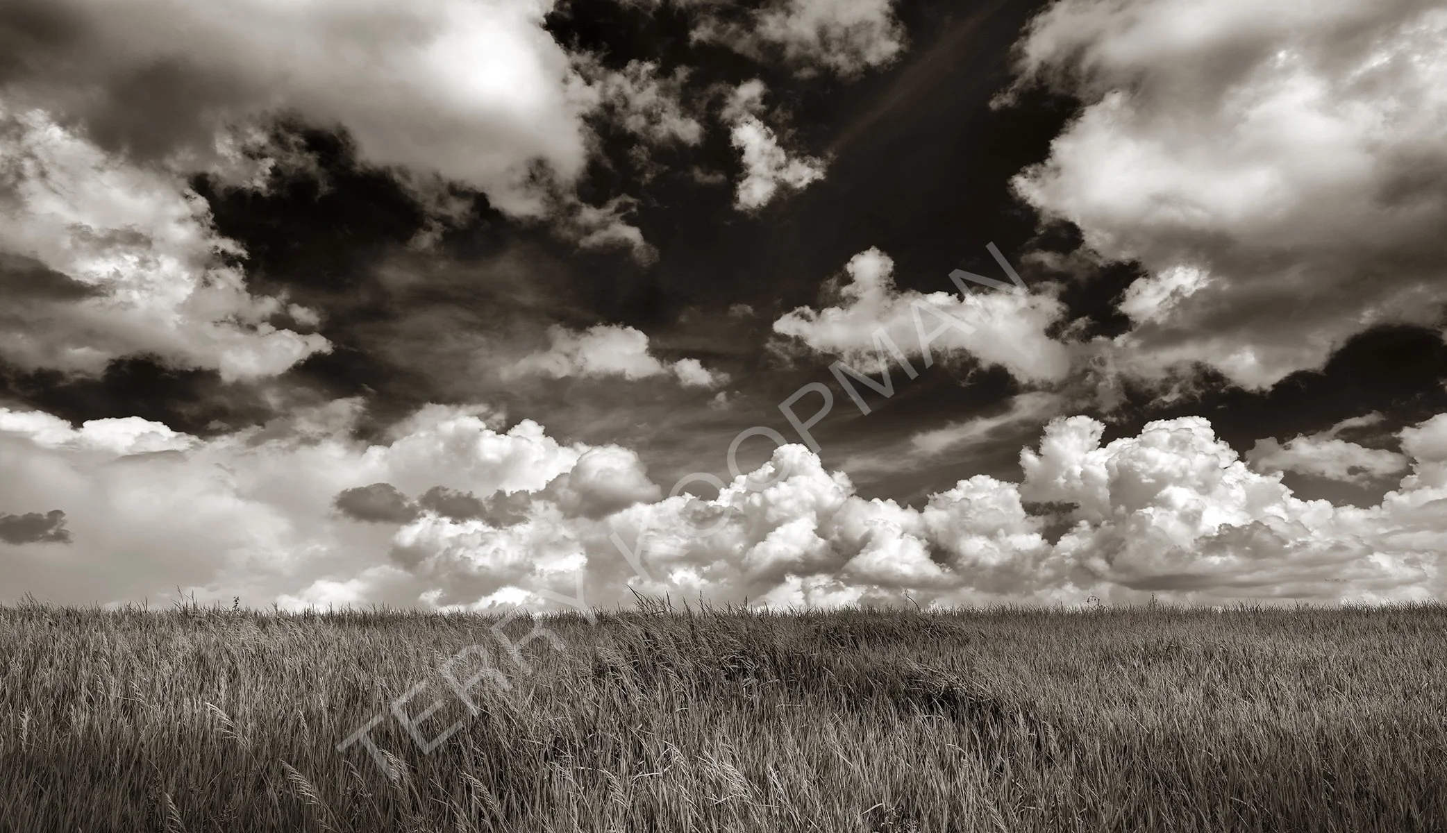 Where Earth Meets The Sky PRINT CROPPED.jpg