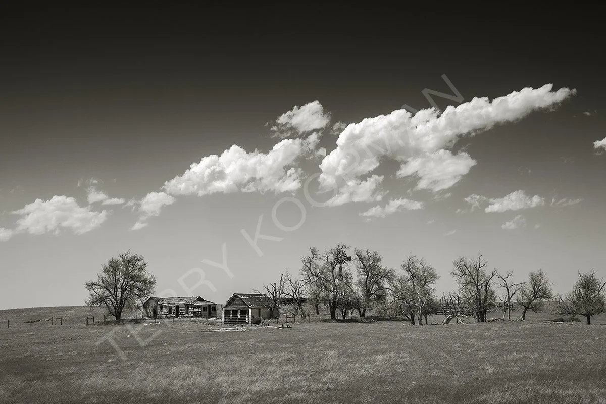 I Was Once Someone's Dream RETOUCHED.jpg