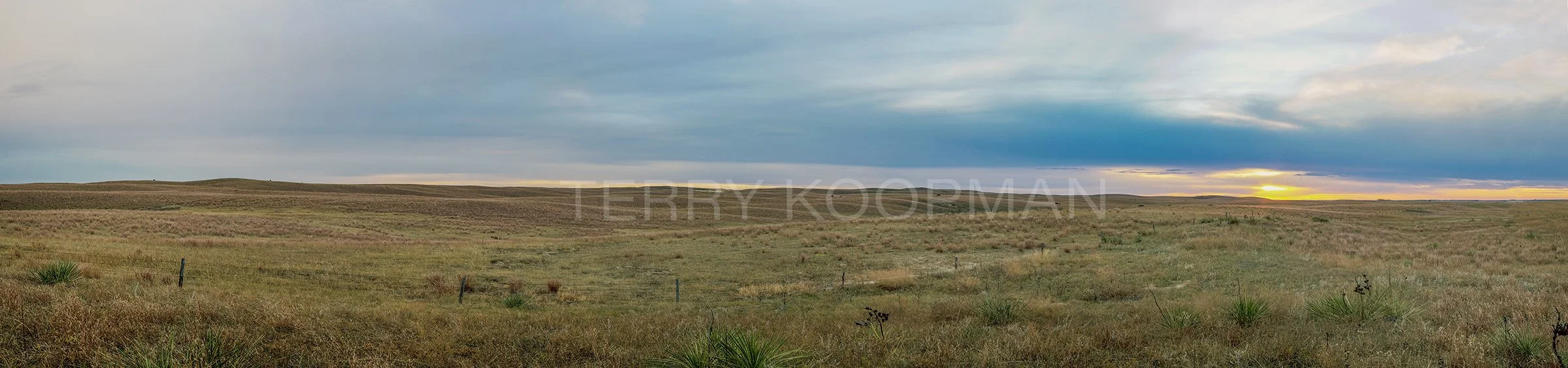 Sandhills pano print REVISED.jpg
