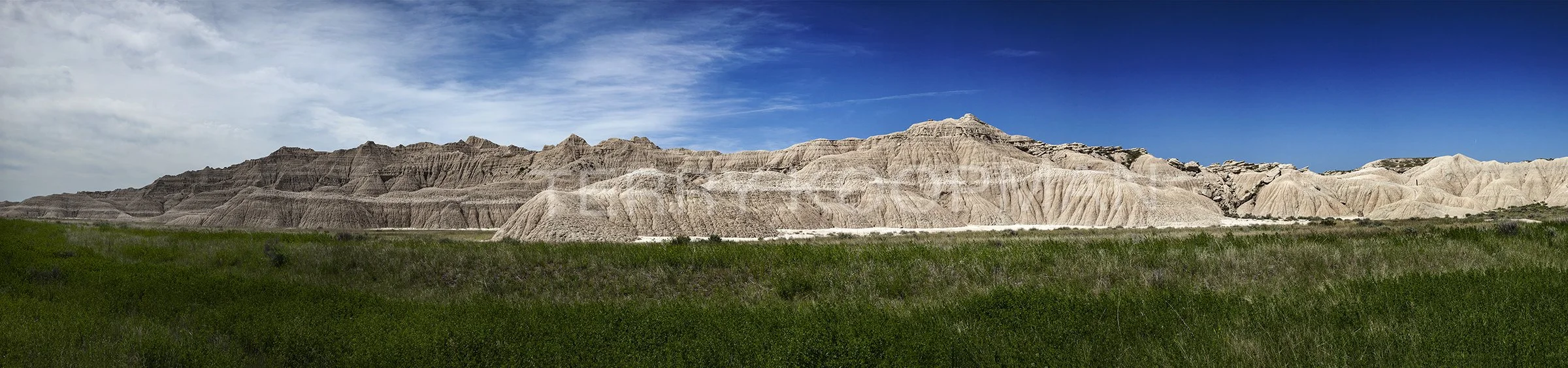 Toadstool Limited Edition Print 1:25.jpg