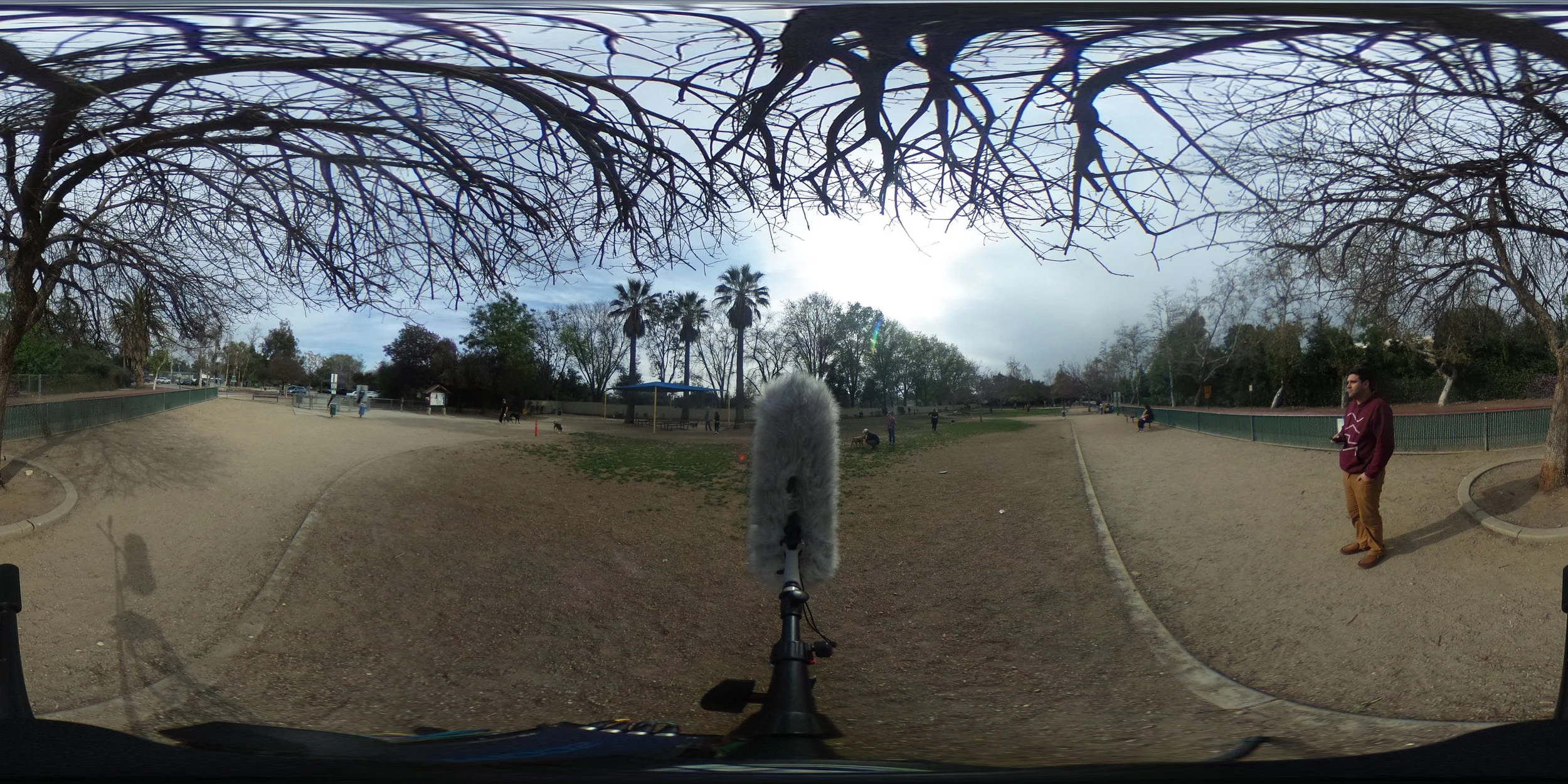 EXT_Day_DogPark_DogsBarking_FootstepsOnDirt_MediumCarBys_PlaneOverhead_Stereo.JPG