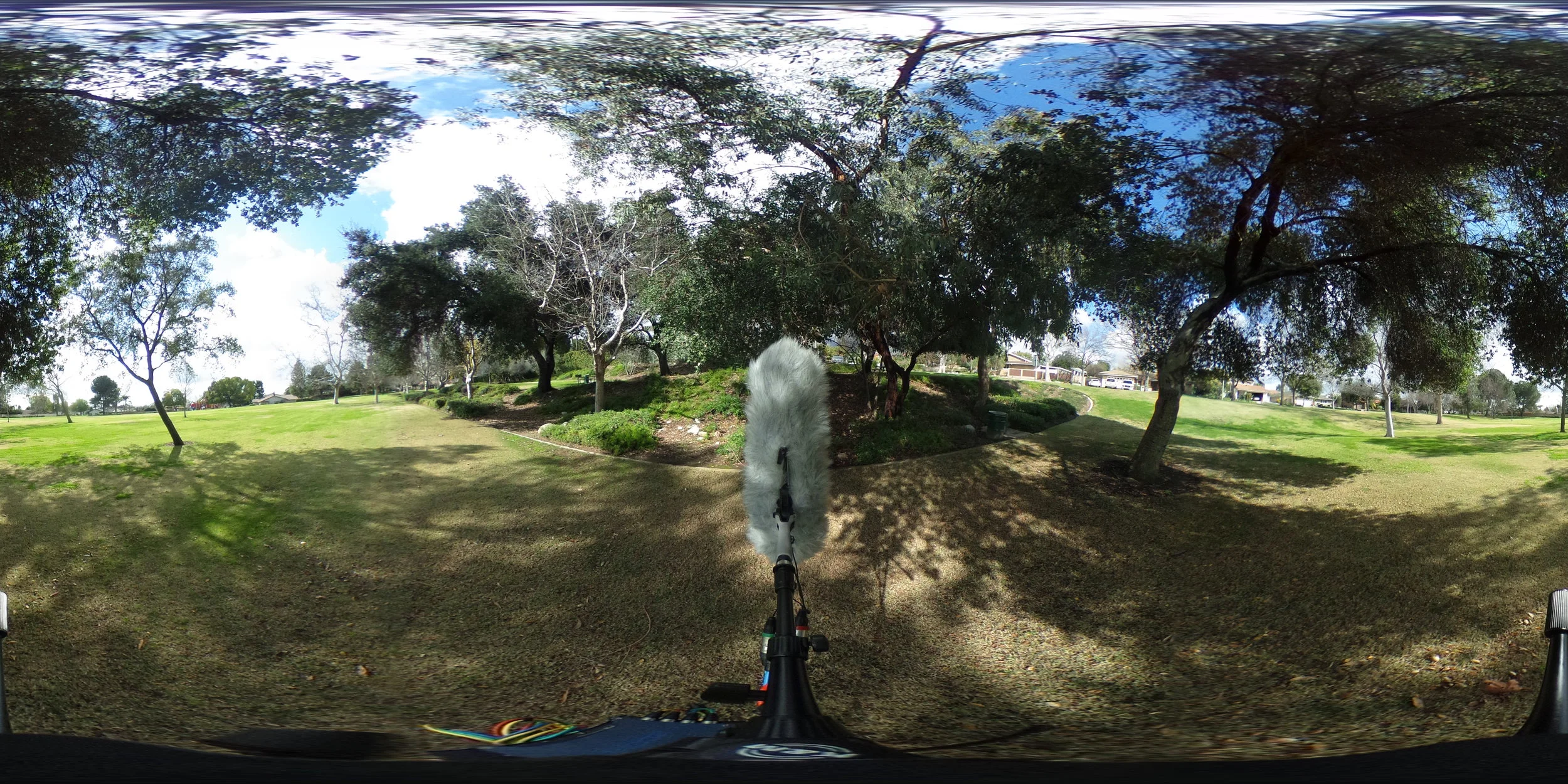 EXT_Day_Park_Squirrel_Overhead_WindThroughLeaves_Rustle_Birds_CarBy_DistantVoices_Stereo.JPG