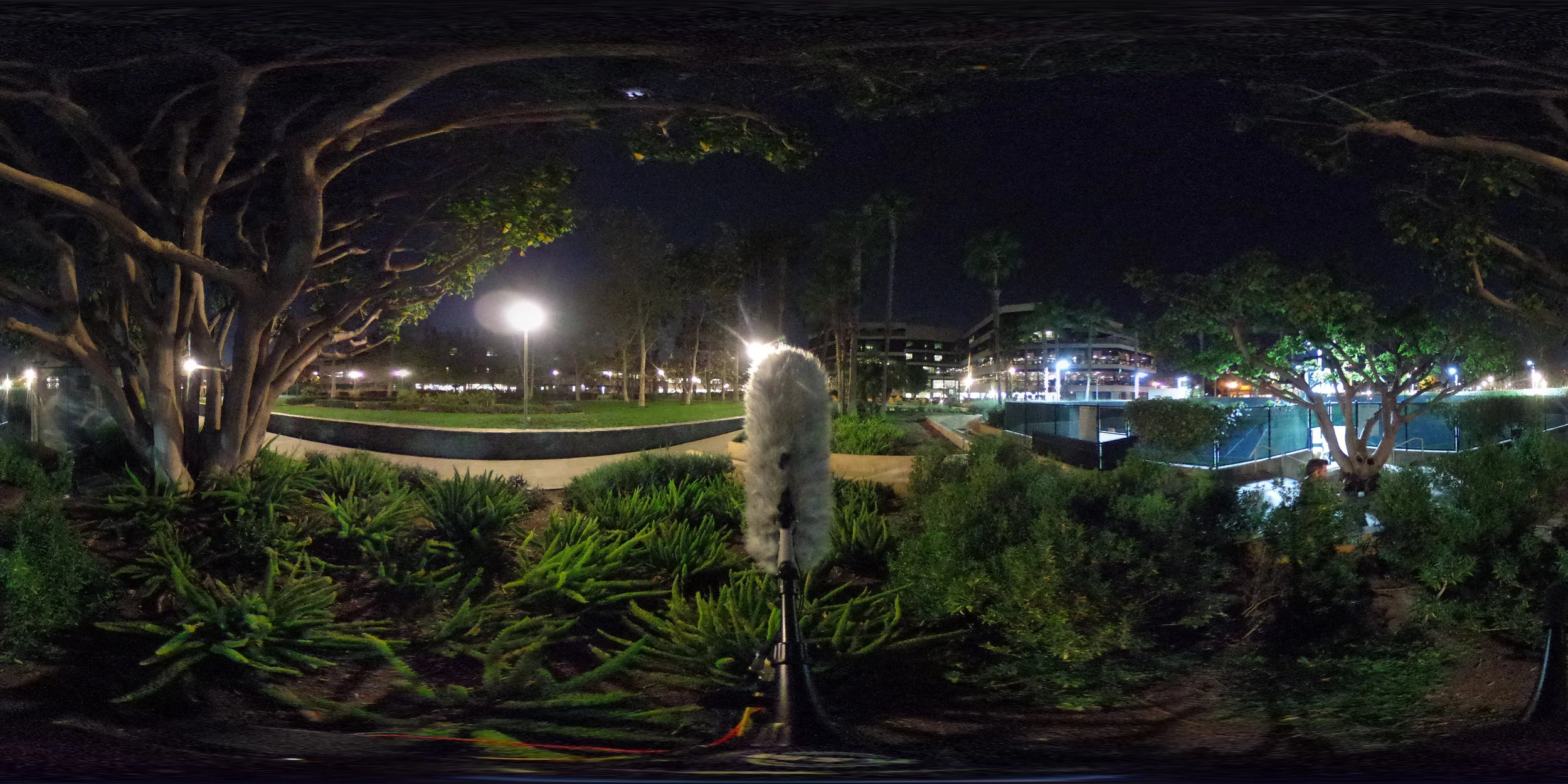 EXT_Night_Park_Crickets_DistantVoicesAndLaughter_MediumToDistantTraffic_CityRumble_Stereo.JPG