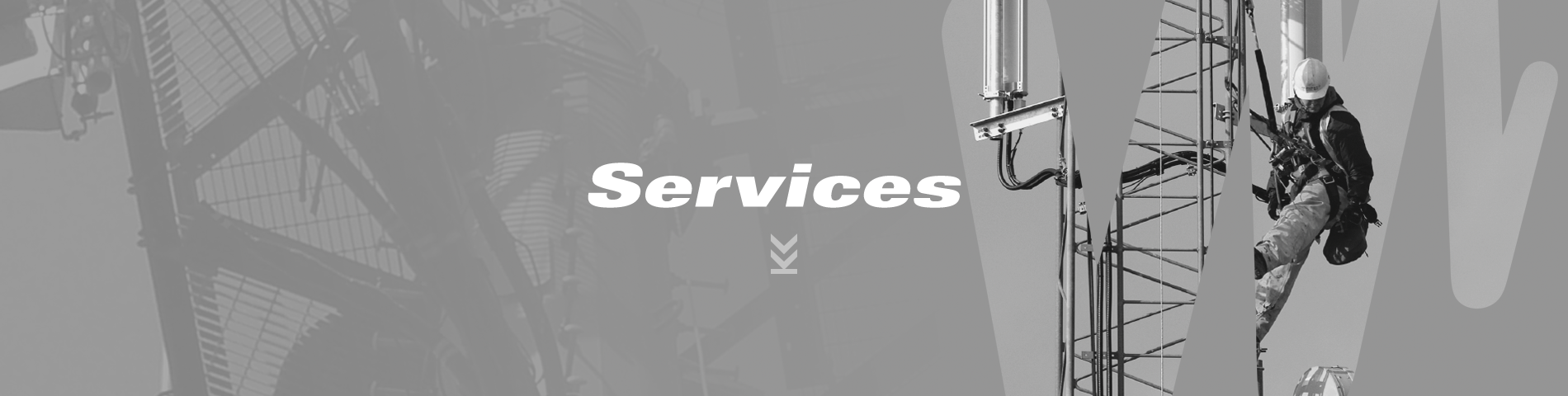 lmn_website_banner_service2.png