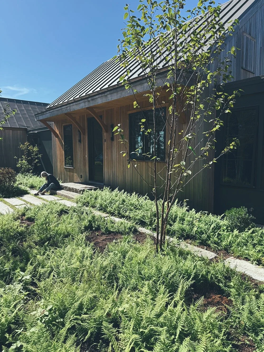 FIR PATH  /  A verdant courtyard welcomes one in 