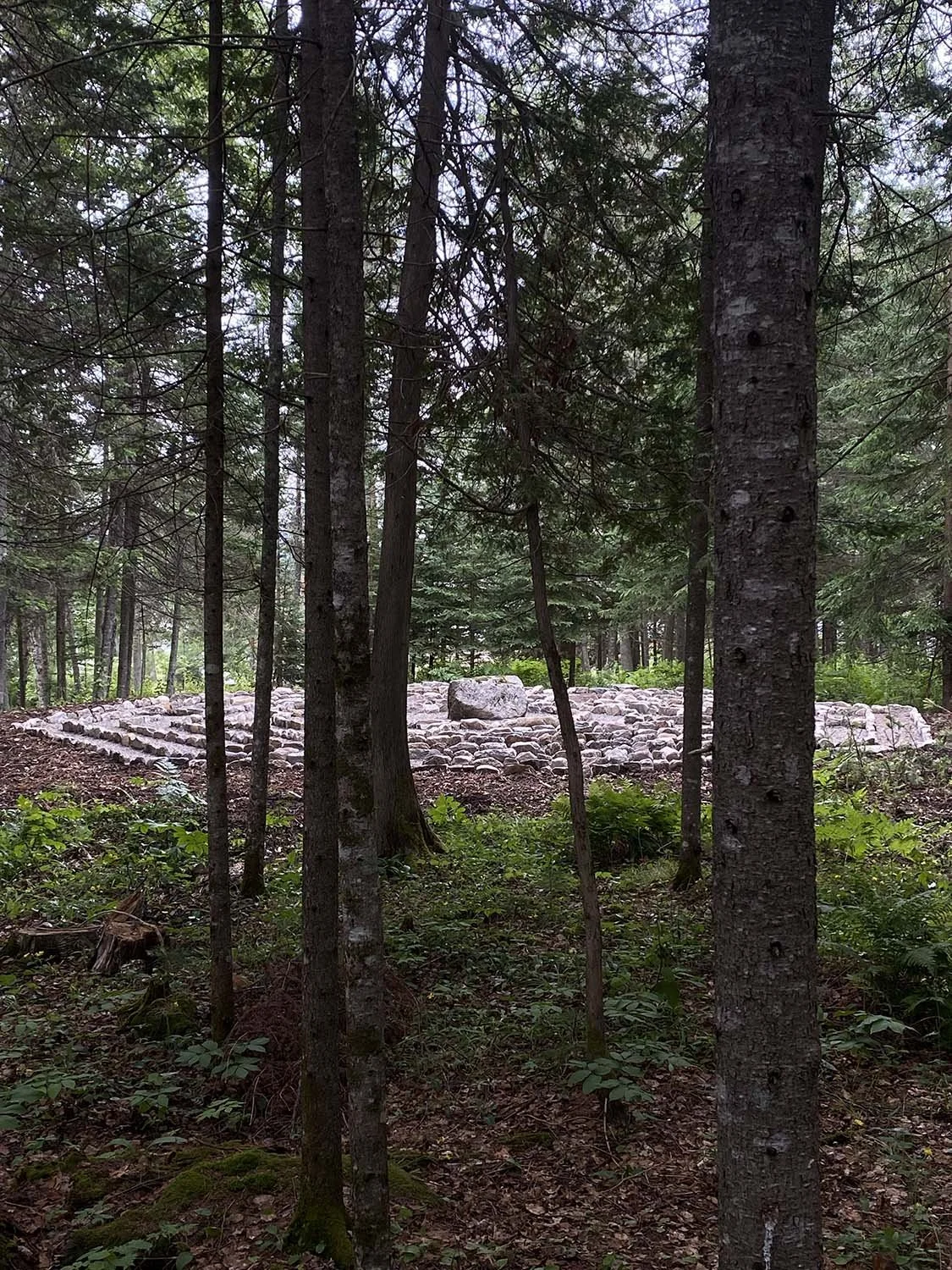 forest-meditation-labyrinth.jpg
