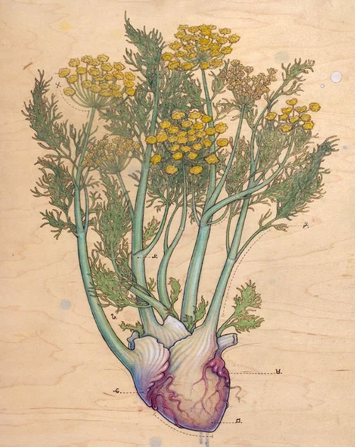 3: The Sacred Birth - Interview with Dakota Hindman, doula and ceremonialist with Matrescence Doula Services