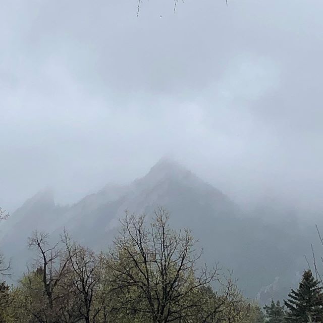 We love these wet misty spring days. The softness of the air holds us like a hug. We appreciate what they do for our minds and our garden.  How do you feel on days like these? What do you enjoy about them? What do you resist?

#spring #wetspringday #