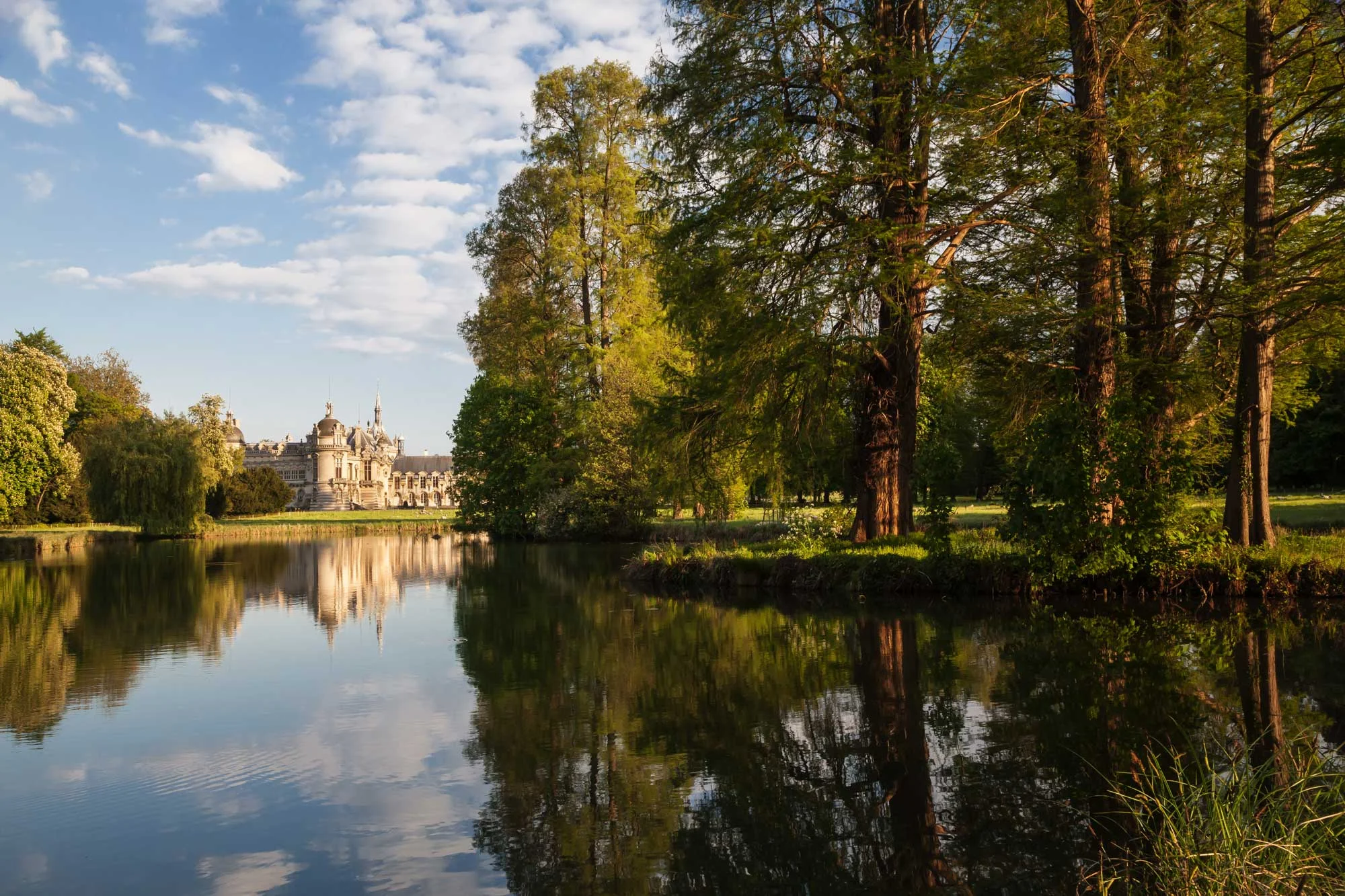 Domaine de Chantilly parc-copyright-sophie-lloyd.jpg