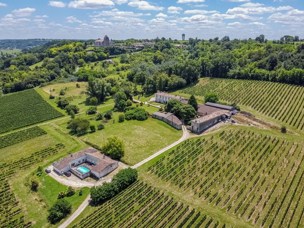 French Vineyard Estate in Bordeaux — Francis York