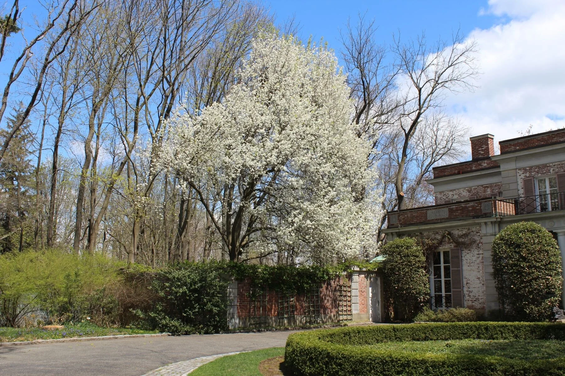 Dreamy David Adler-Designed Estate in Rye, NY — Francis York