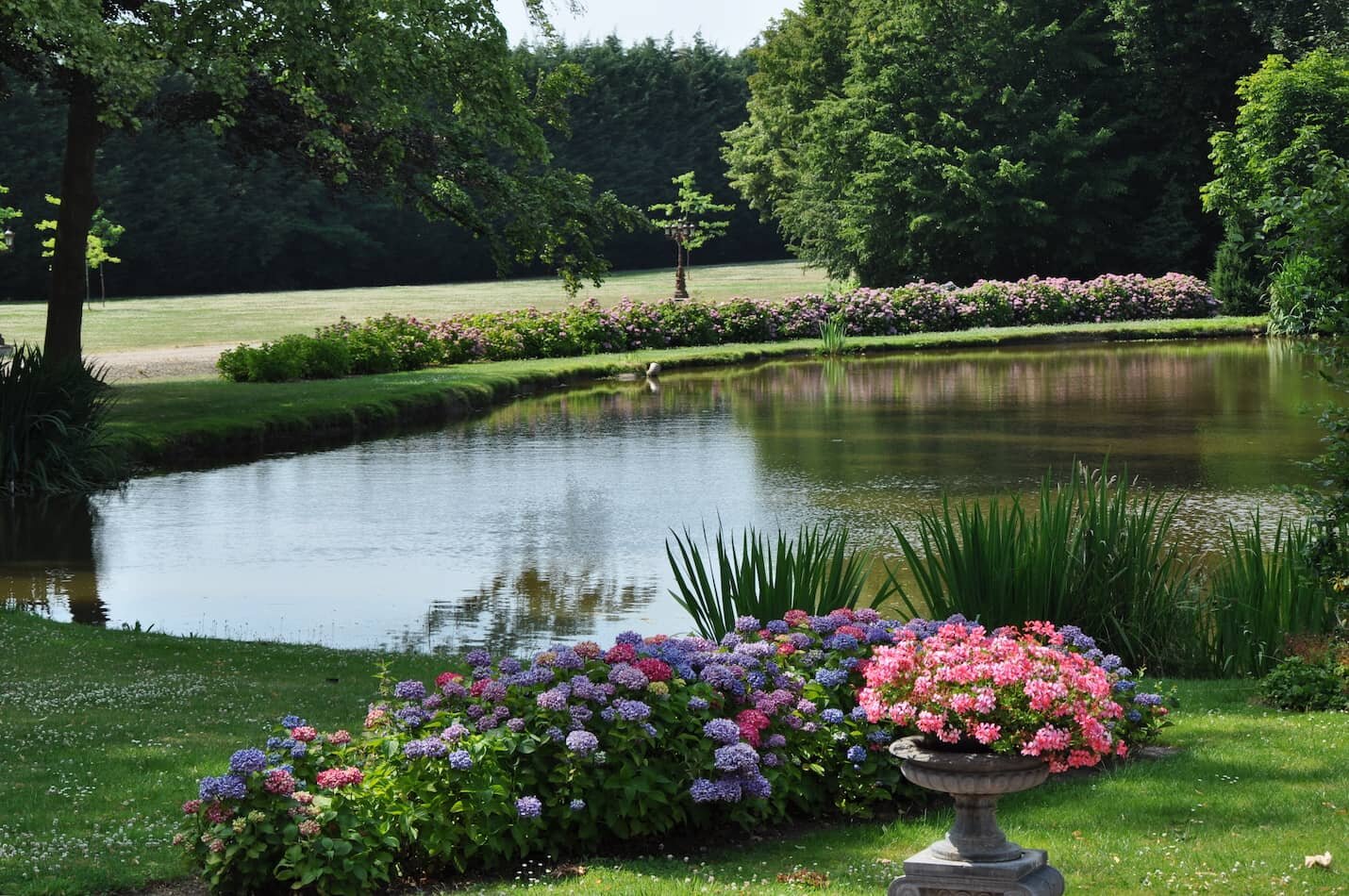 Tuin-1.jpeg