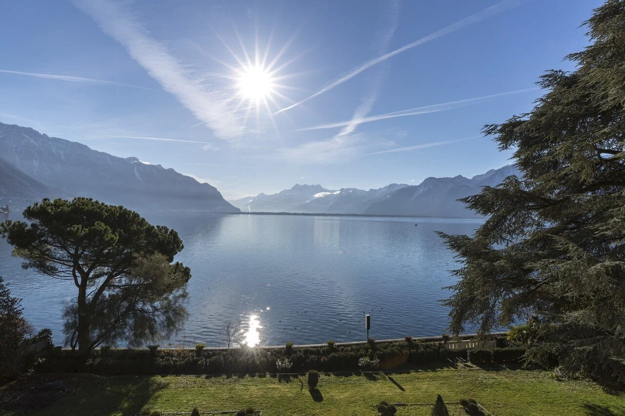Francis York Neo-Medieval Mansion on Lake Geneva12.jpg