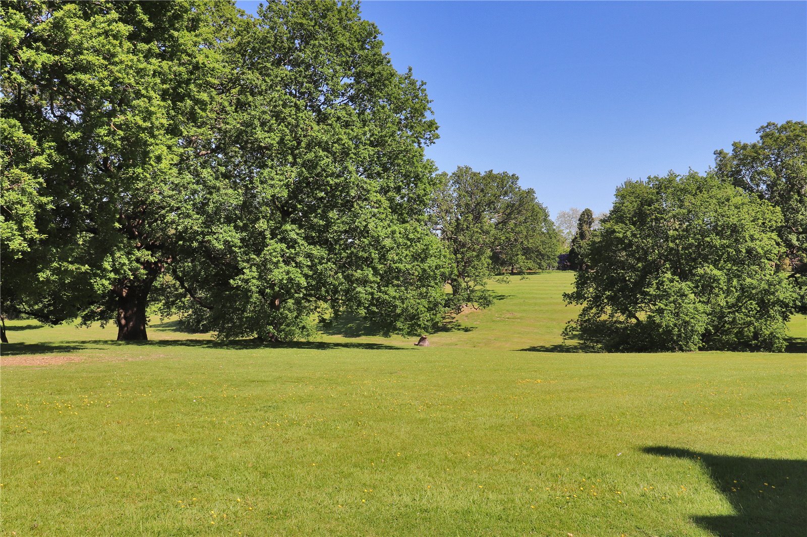 Francis York A Gothic-Style Mansion with Formal Gardens in Kent 1.jpg