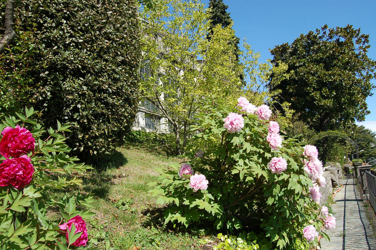 Francis York Lake Como Villa in Menaggio With Panoramic Views 2.jpg