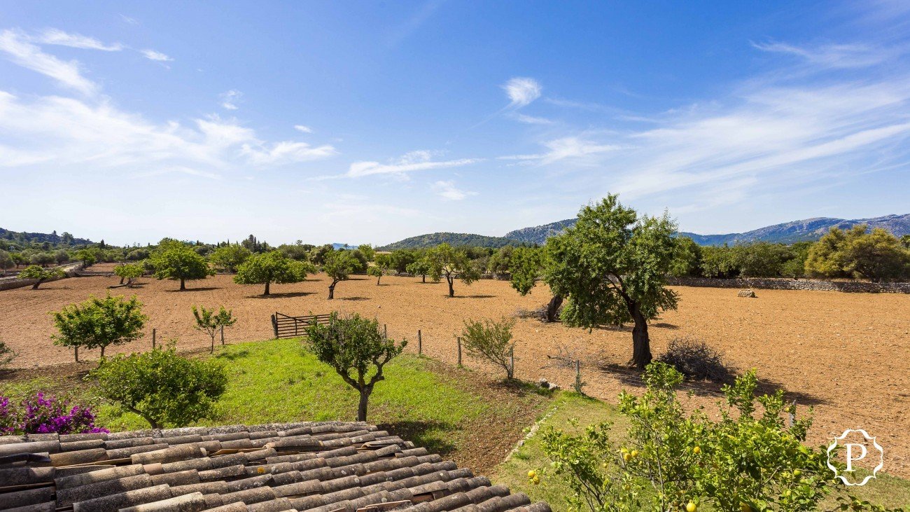 Francis York Magnificent Country Estate in Mallorca 14.jpeg