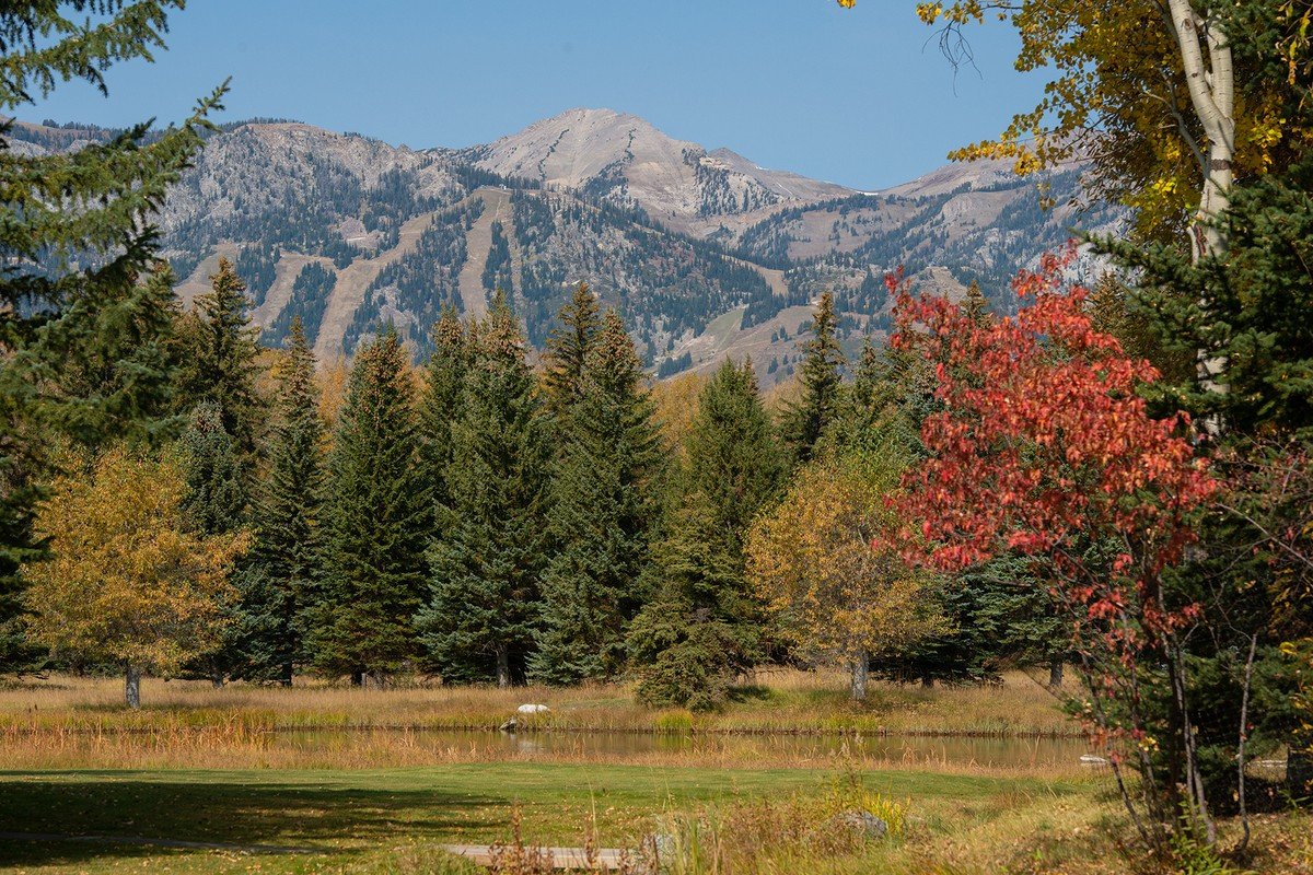 Francis York Elk Run Estate Near Jackson Hole, Wyoming31.jpeg