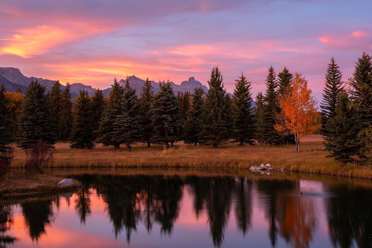 Francis York Elk Run Estate Near Jackson Hole, Wyoming9.jpeg