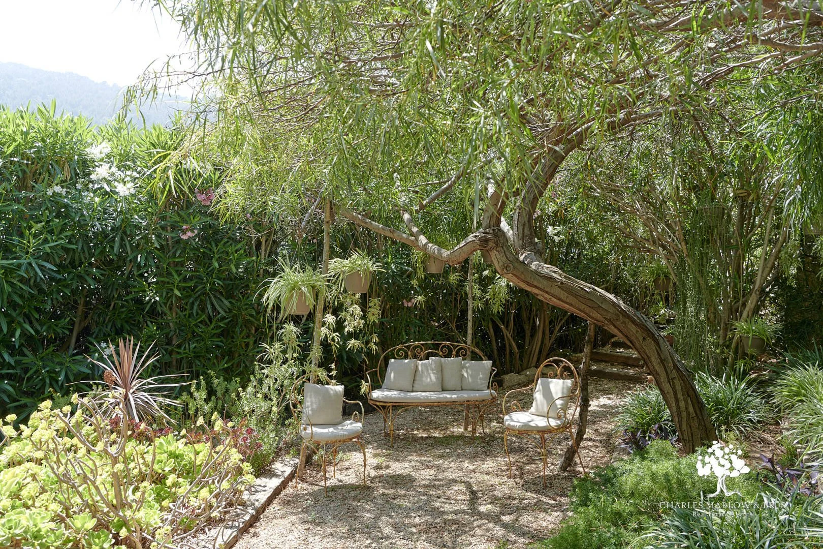 Charles Marlow8.jpeg