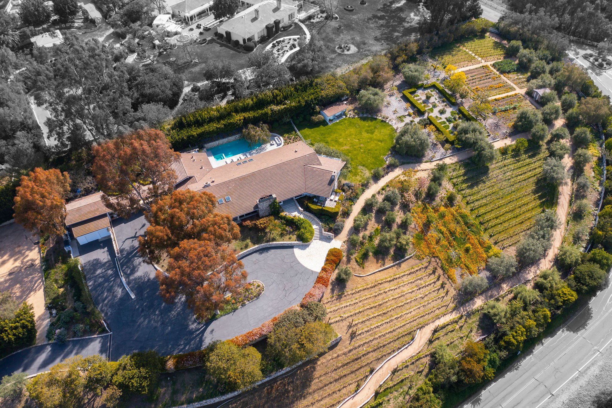Francis York This Mid-Century Ranch with Award-Winning Vineyards is a ‘House of Dreams’ in Palos Verdes, California 3.jpg