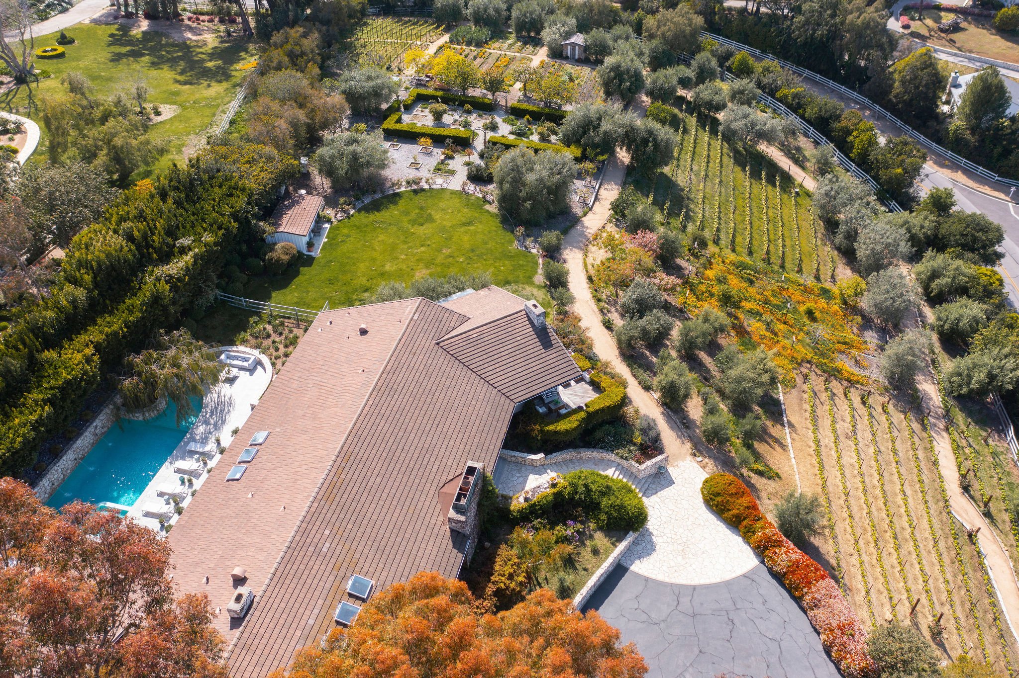 Francis York This Mid-Century Ranch with Award-Winning Vineyards is a ‘House of Dreams’ in Palos Verdes, California 11.jpg