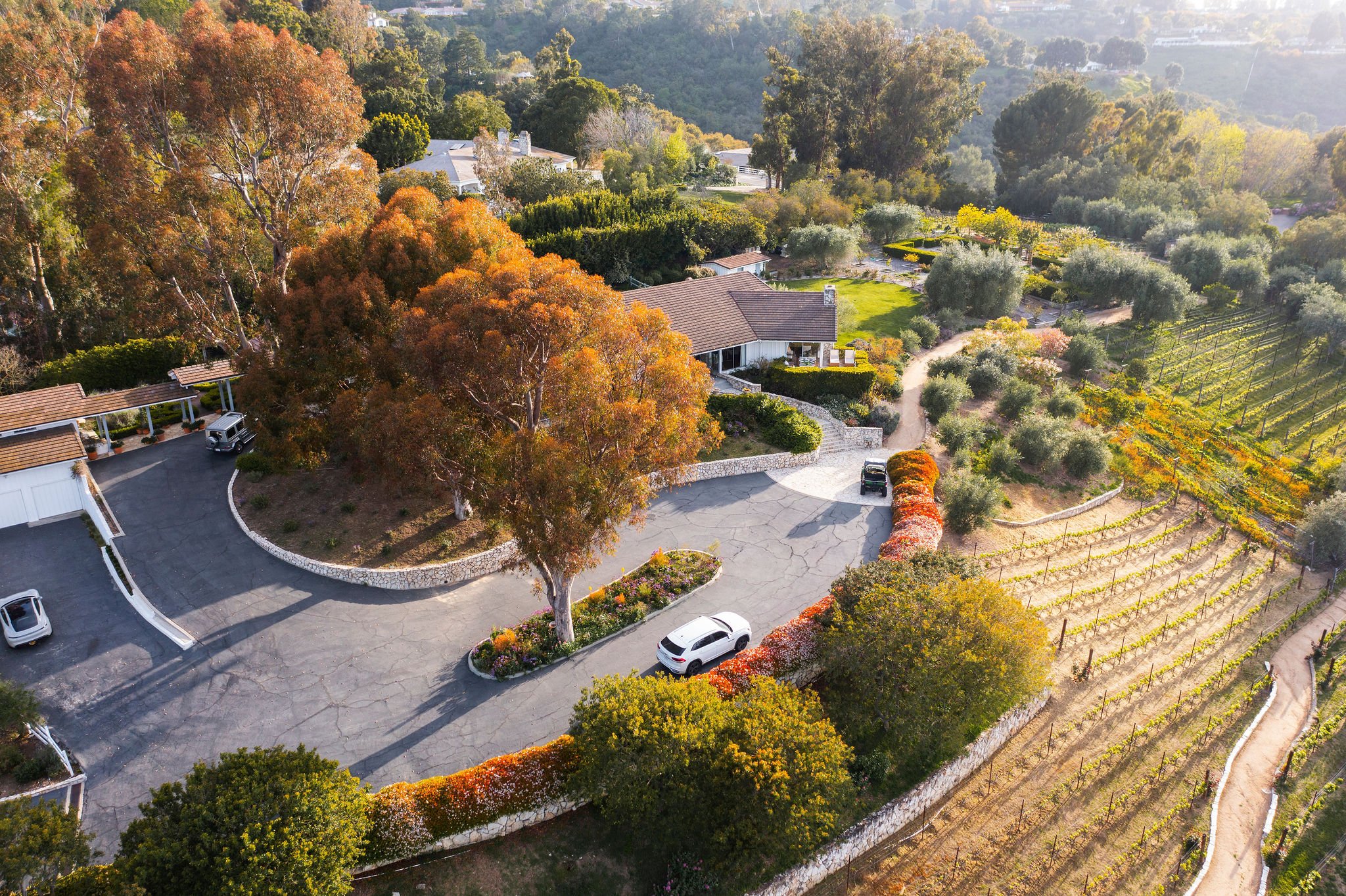 Francis York This Mid-Century Ranch with Award-Winning Vineyards is a ‘House of Dreams’ in Palos Verdes, California 12.jpg