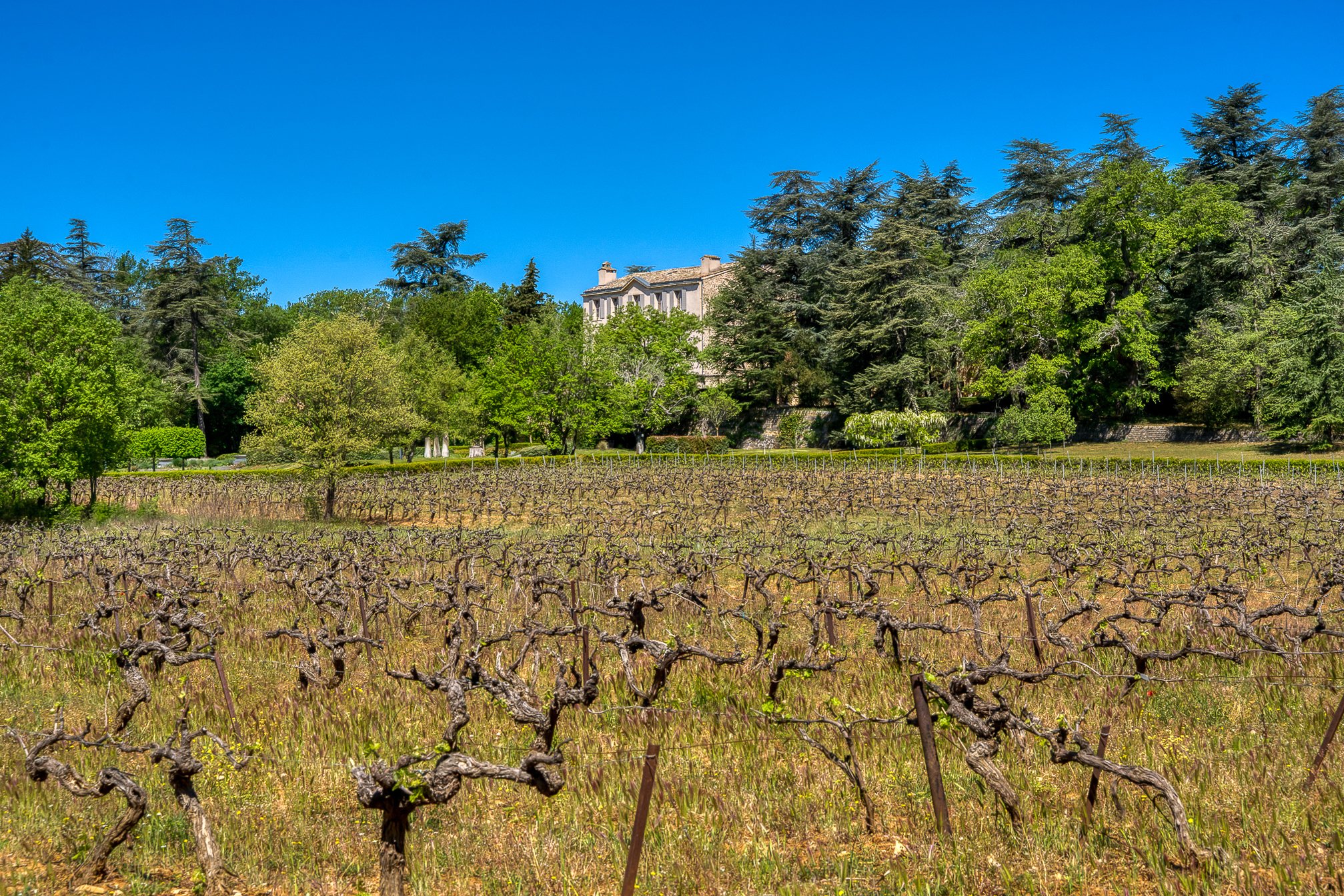 Francis York Luxury French Chateau and Vineyard in the Var, Provence 11.jpg
