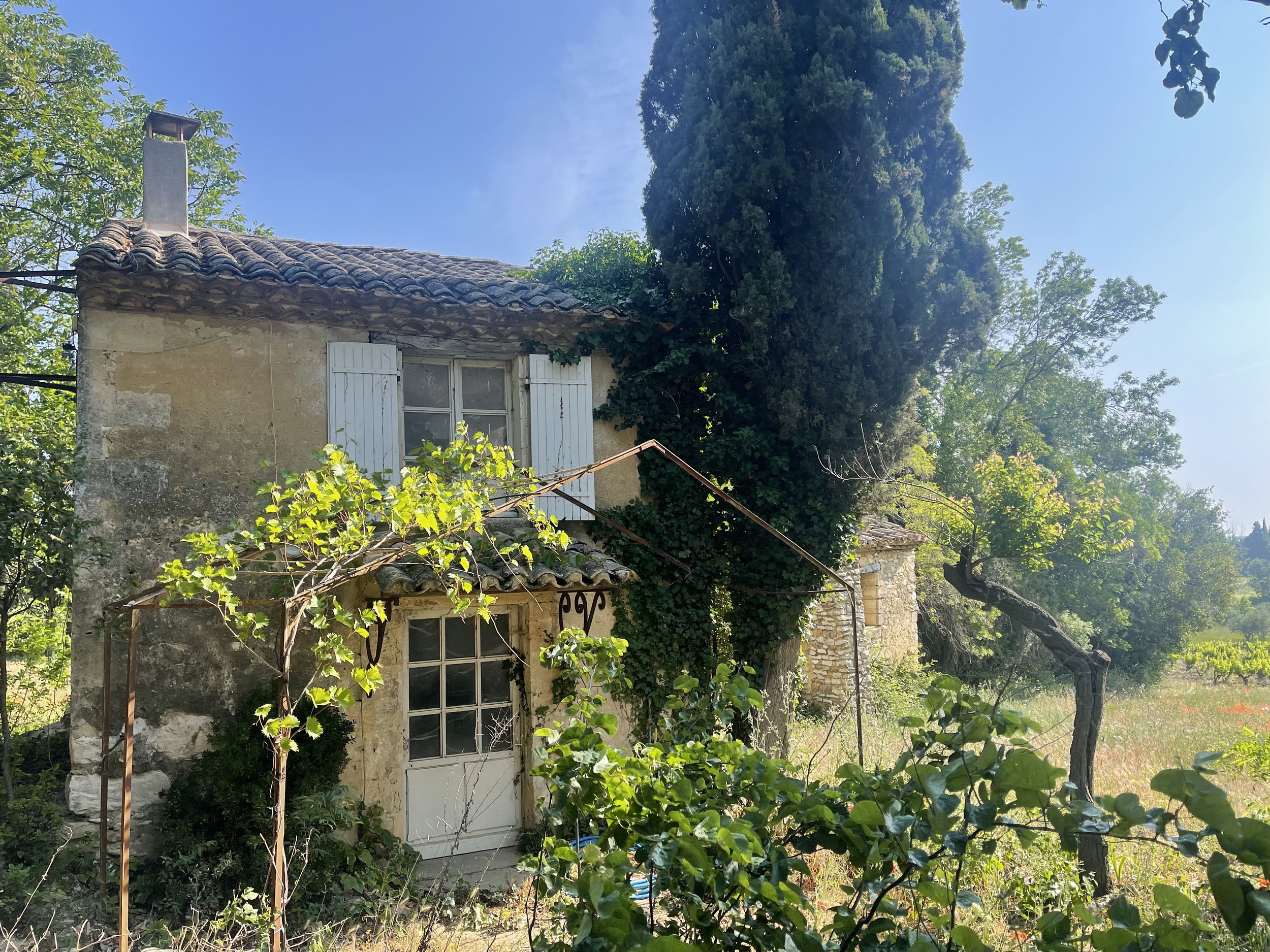 Francis York Wine Estate with Organic Vineyards in the Rhône Valley, France 5.jpg