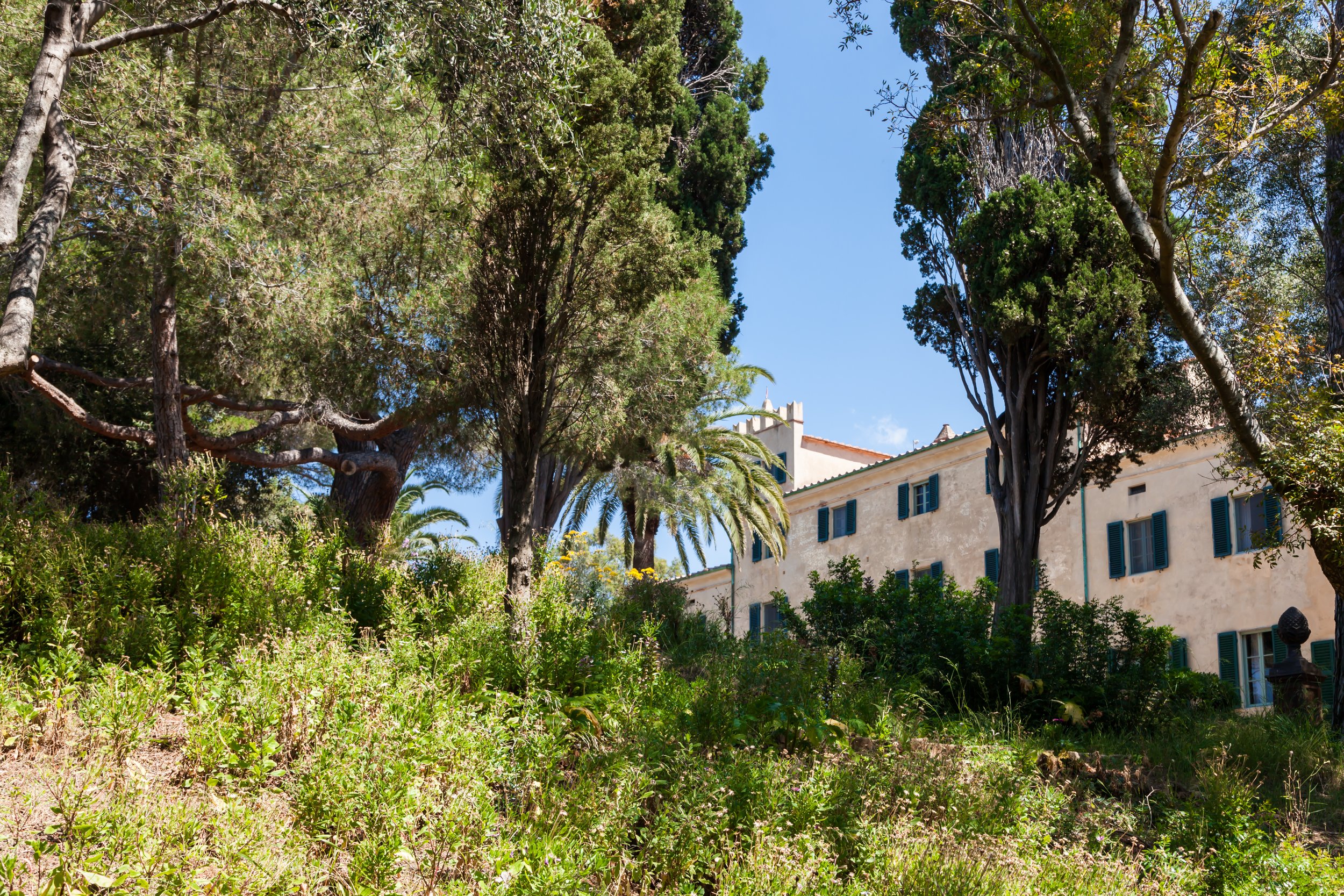Francis York Luxury Villa Rental on the Tuscan Coast 5.jpg