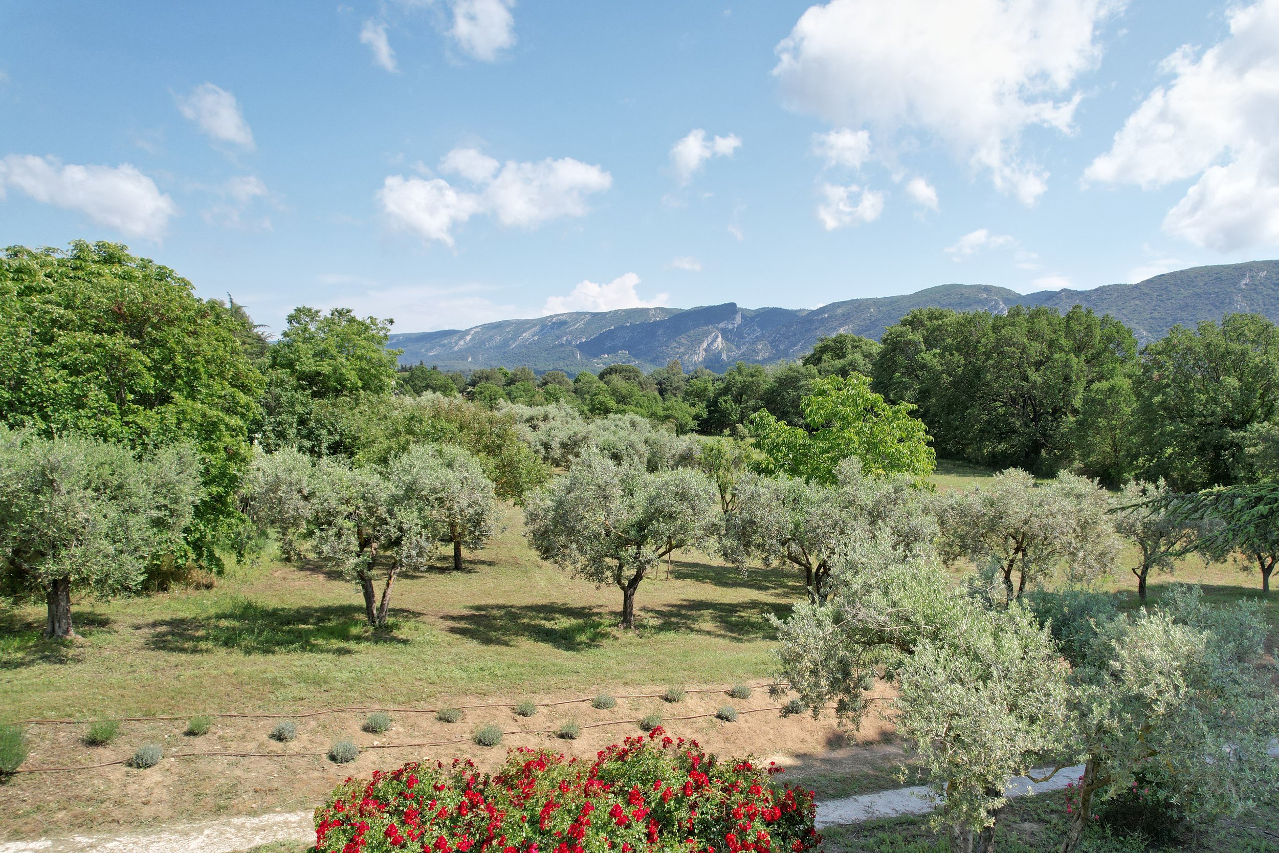 Francis York Emile Garcin  Restored French Farmhouse in the Luberon, Provence 11.jpg