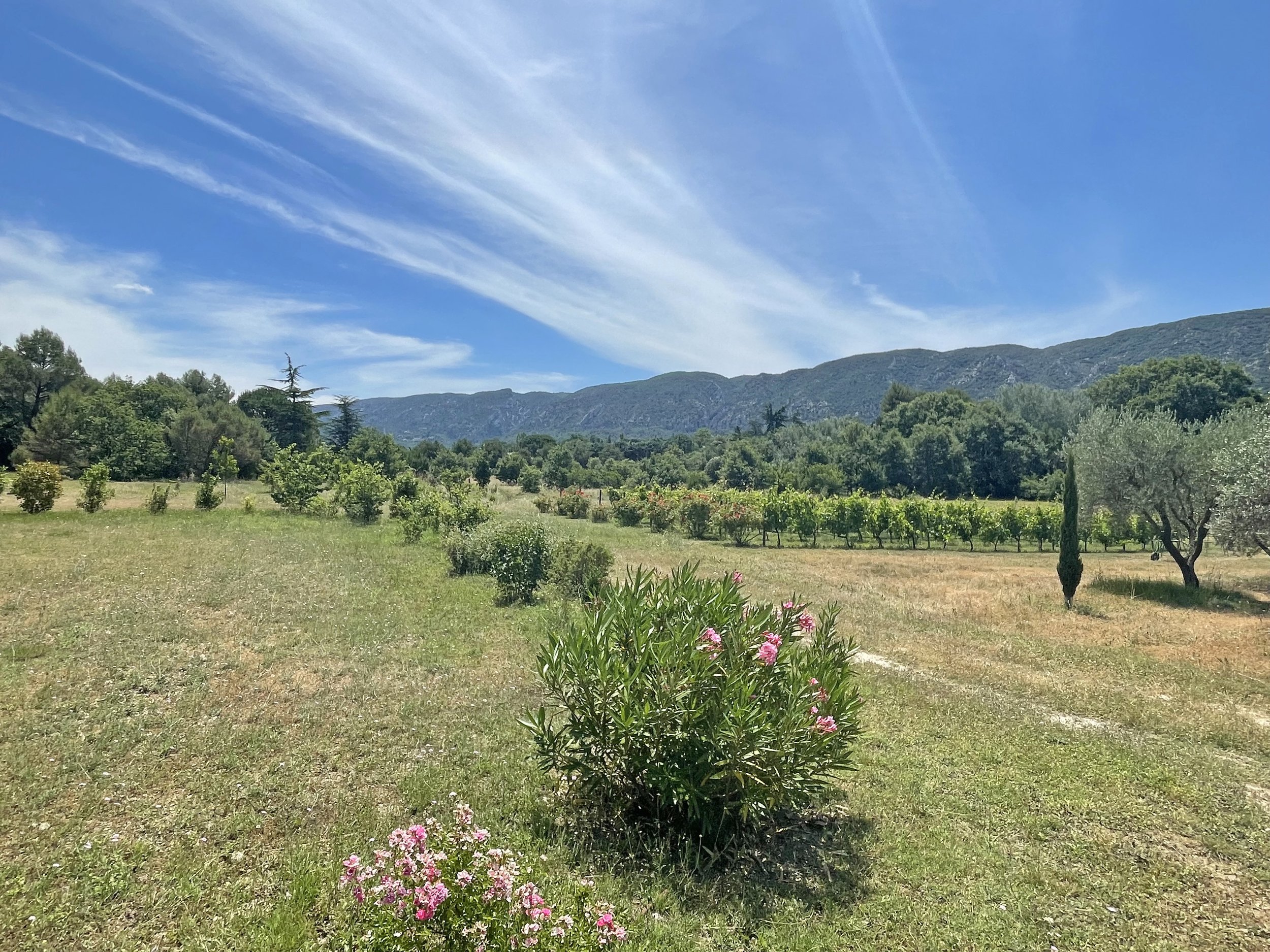 Francis York Emile Garcin  Restored French Farmhouse in the Luberon, Provence 20.jpg