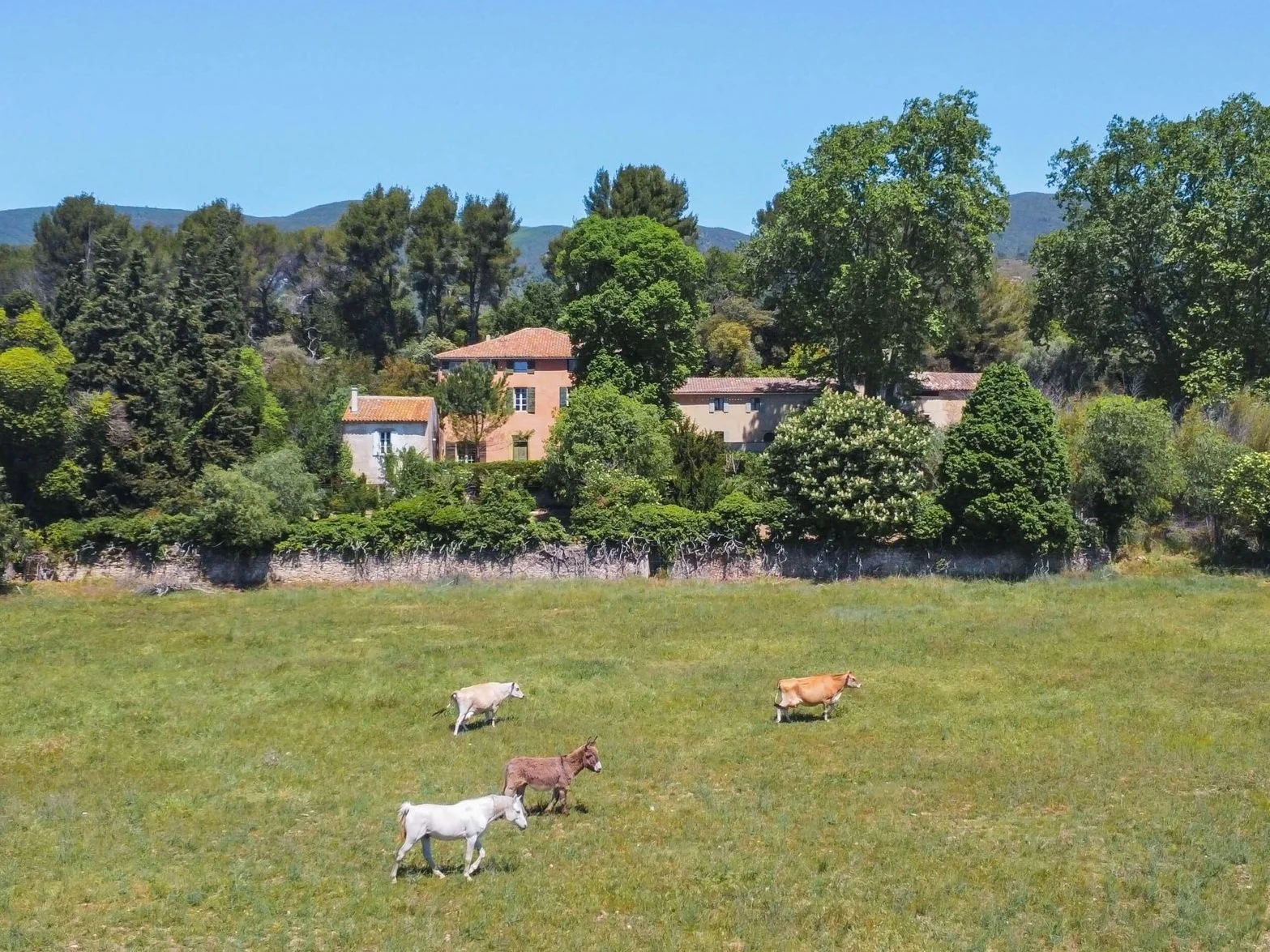 Dream Fixer-Upper: French Bastide in Provence Set in 79 Acres 