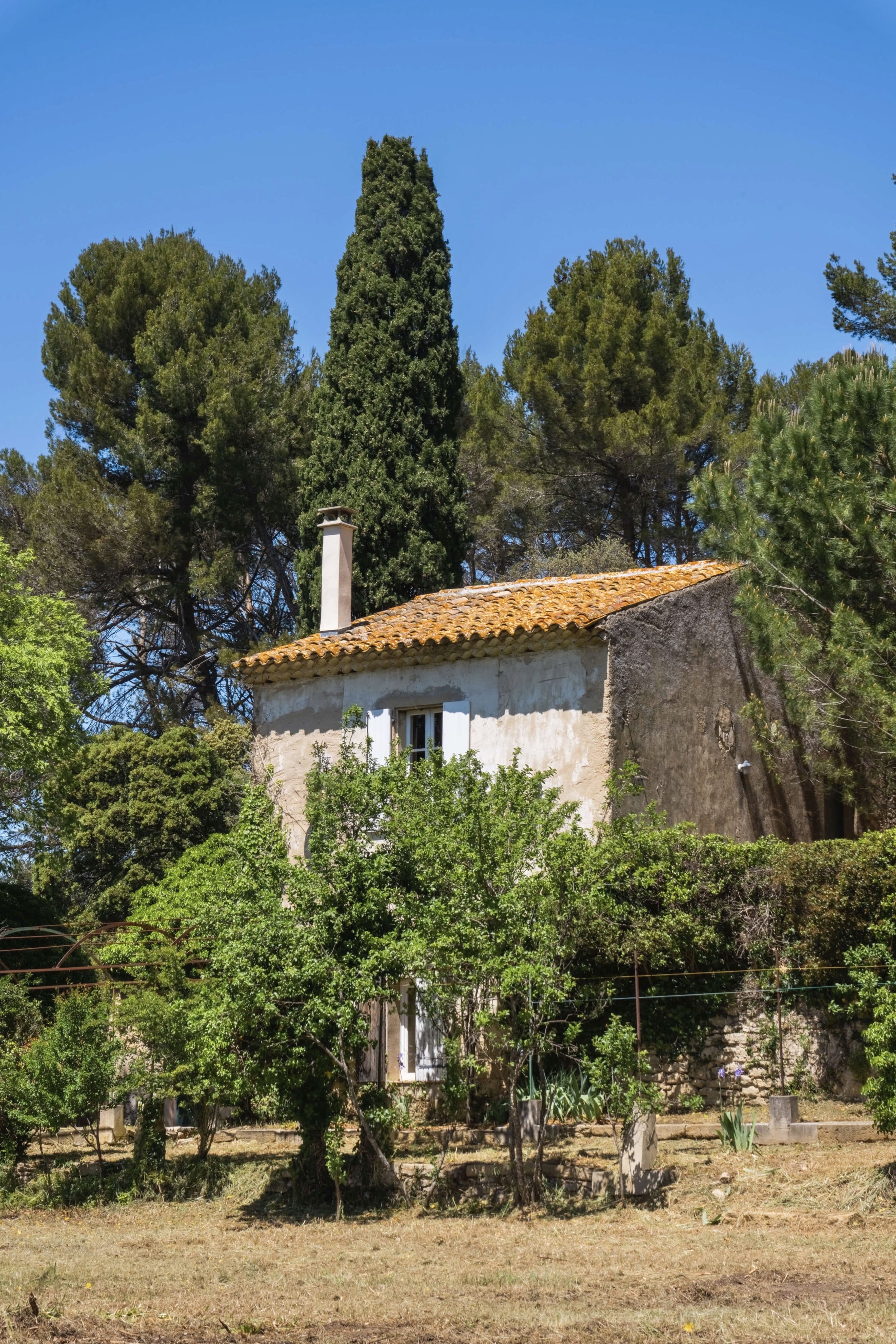 Francis York  Dream Fixer-Upper: French Farmhouse in Provence Set in 79 Acres Emile Garcin 10.jpg