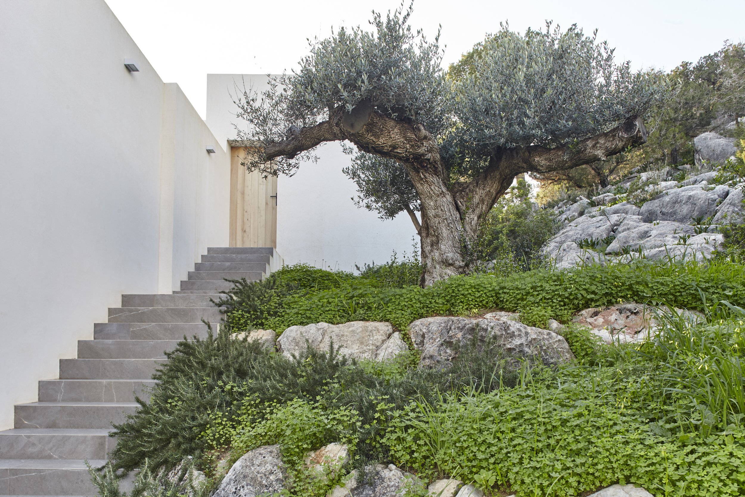 Francis York  Villa Adastra: Modern Mansion With Panoramic Island Views in Ibiza 15.jpg