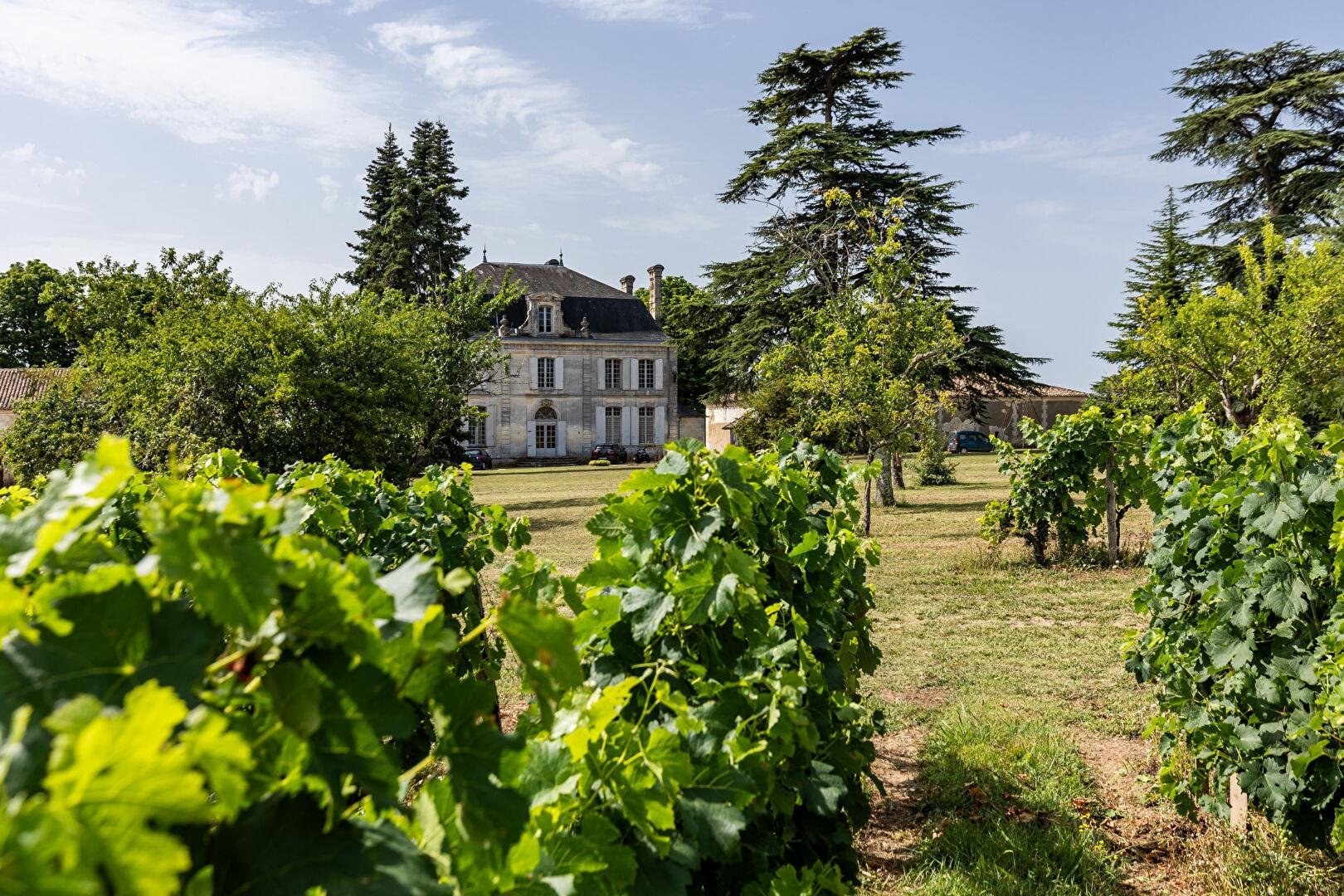Francis York French Chateau and Vineyard Overlooking the Dordogne River m 3.jpg