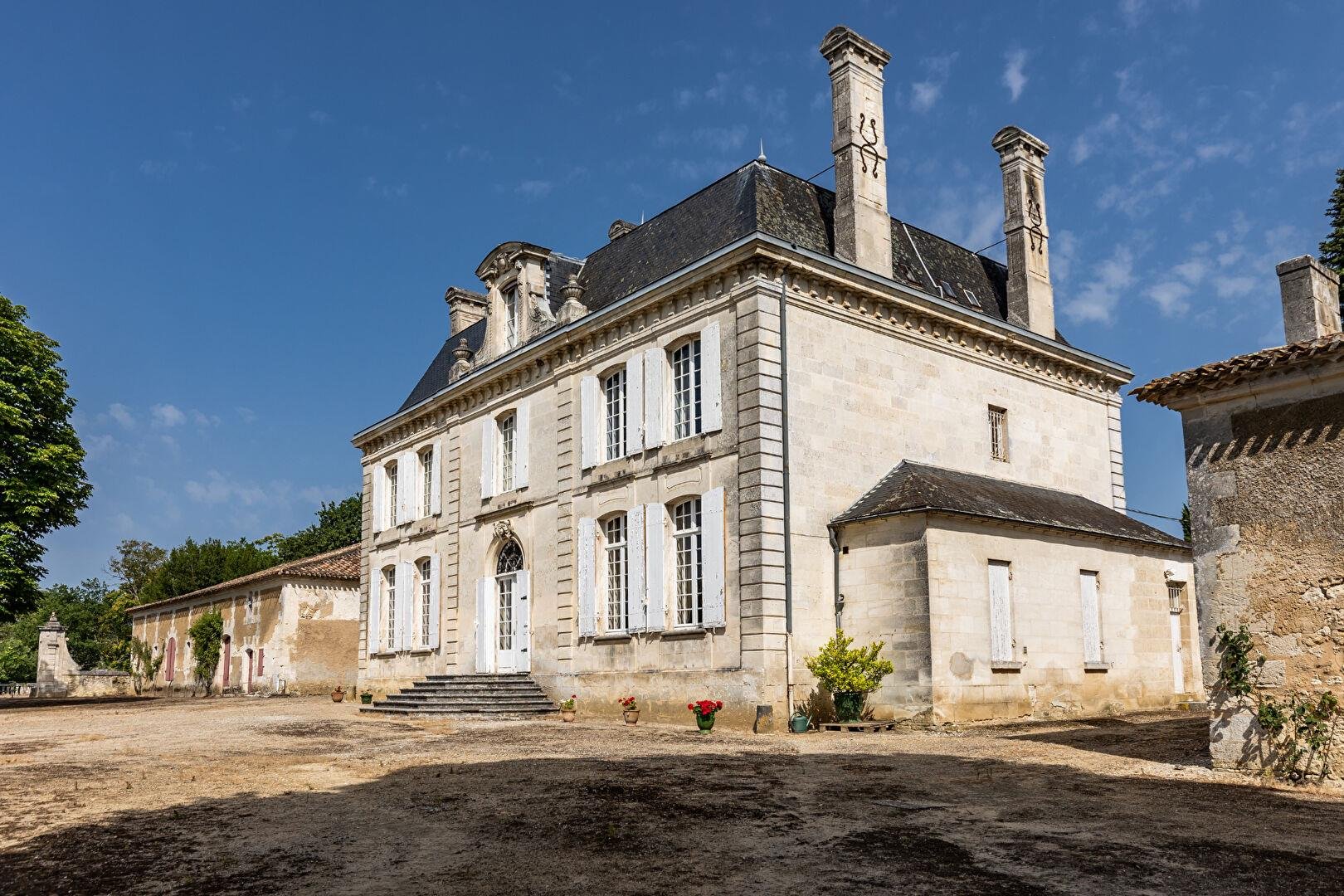 Francis York French Chateau and Vineyard Overlooking the Dordogne River m 5.jpg