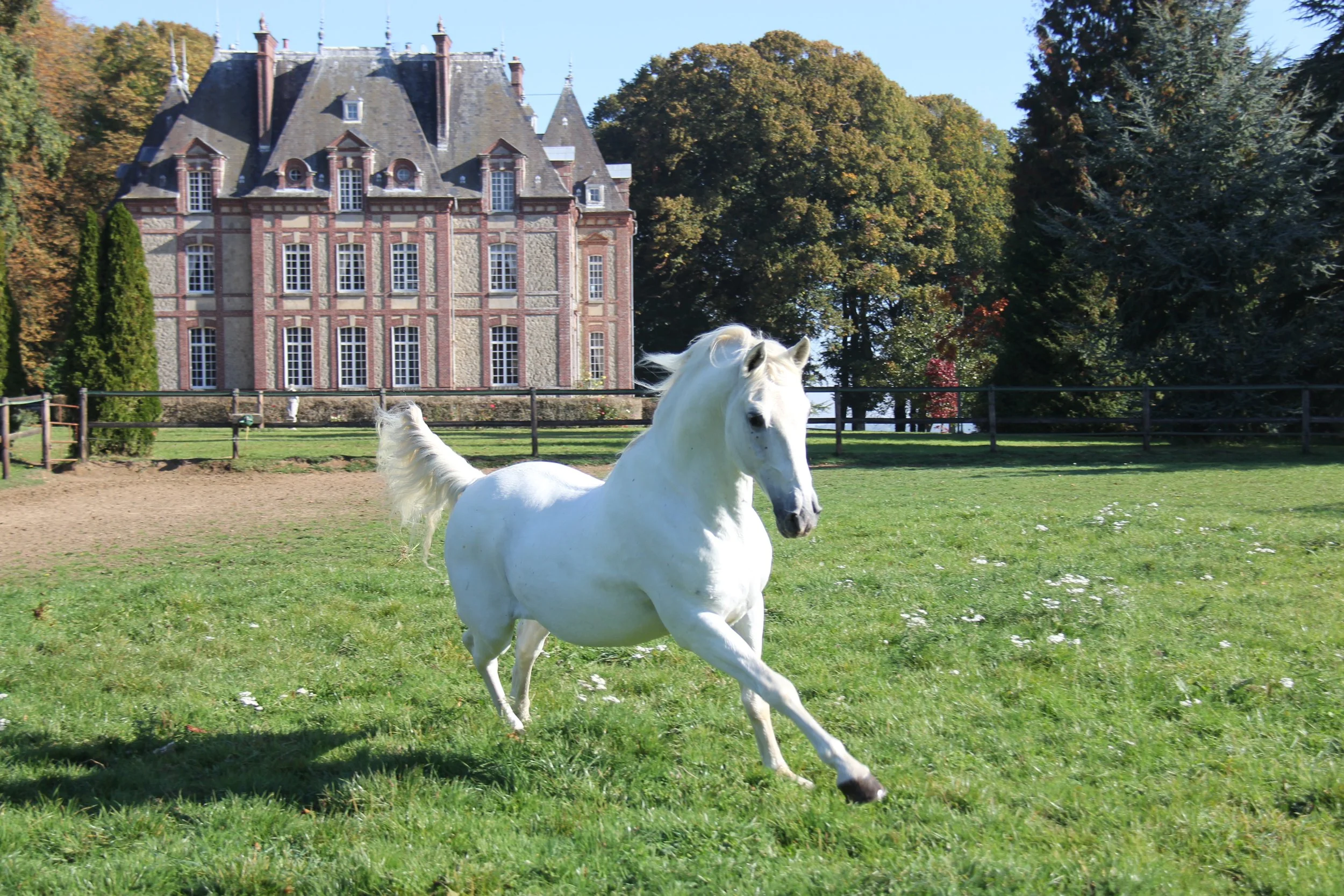 19th Century Chateau and Equestrian Estate in Normandy, France